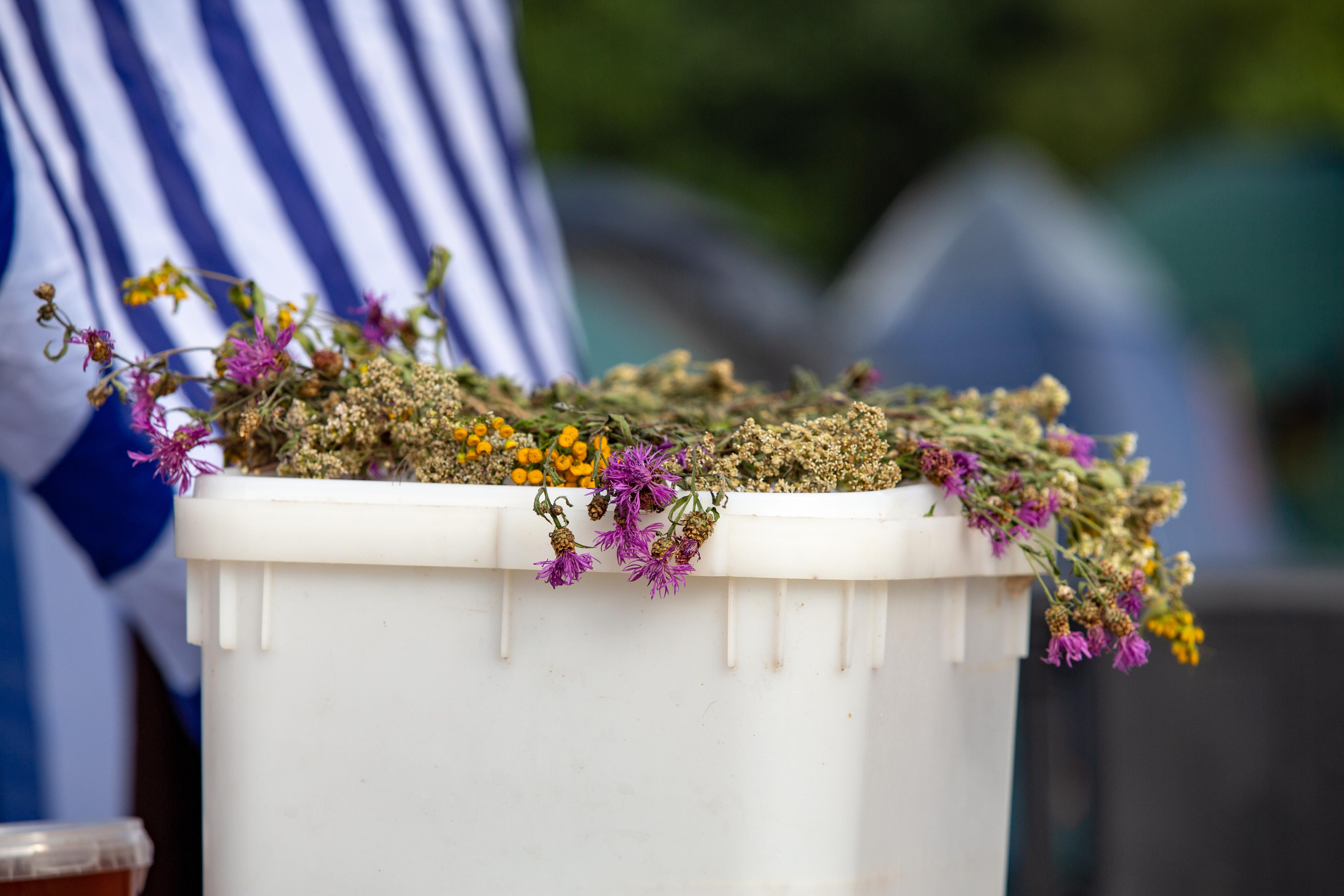 Bylinnyy Bereg 2021. Photographer Sonkina Tatiana (Tanya Ash)