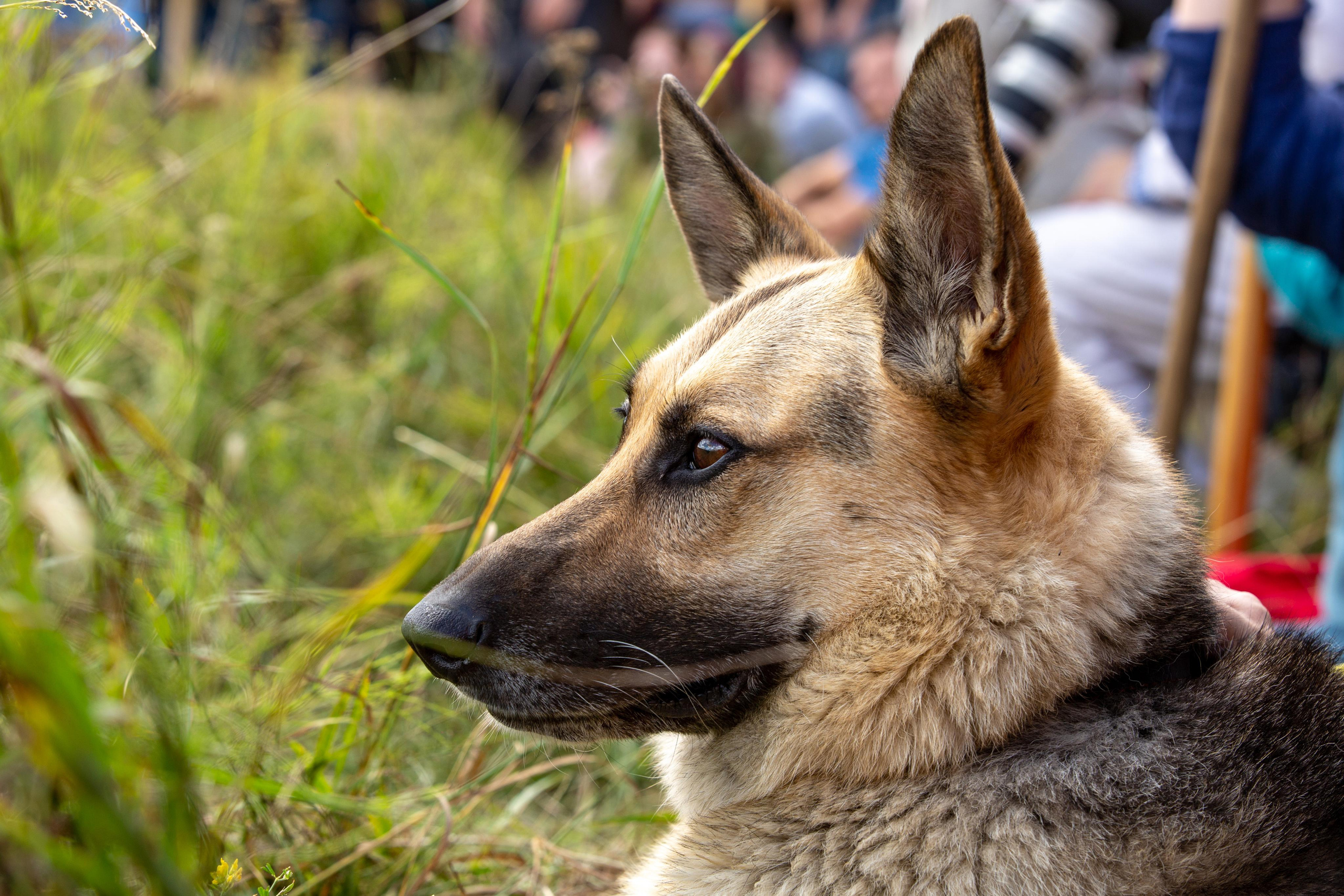 Bylinnyy Bereg 2021. Photographer Sonkina Tatiana (Tanya Ash)