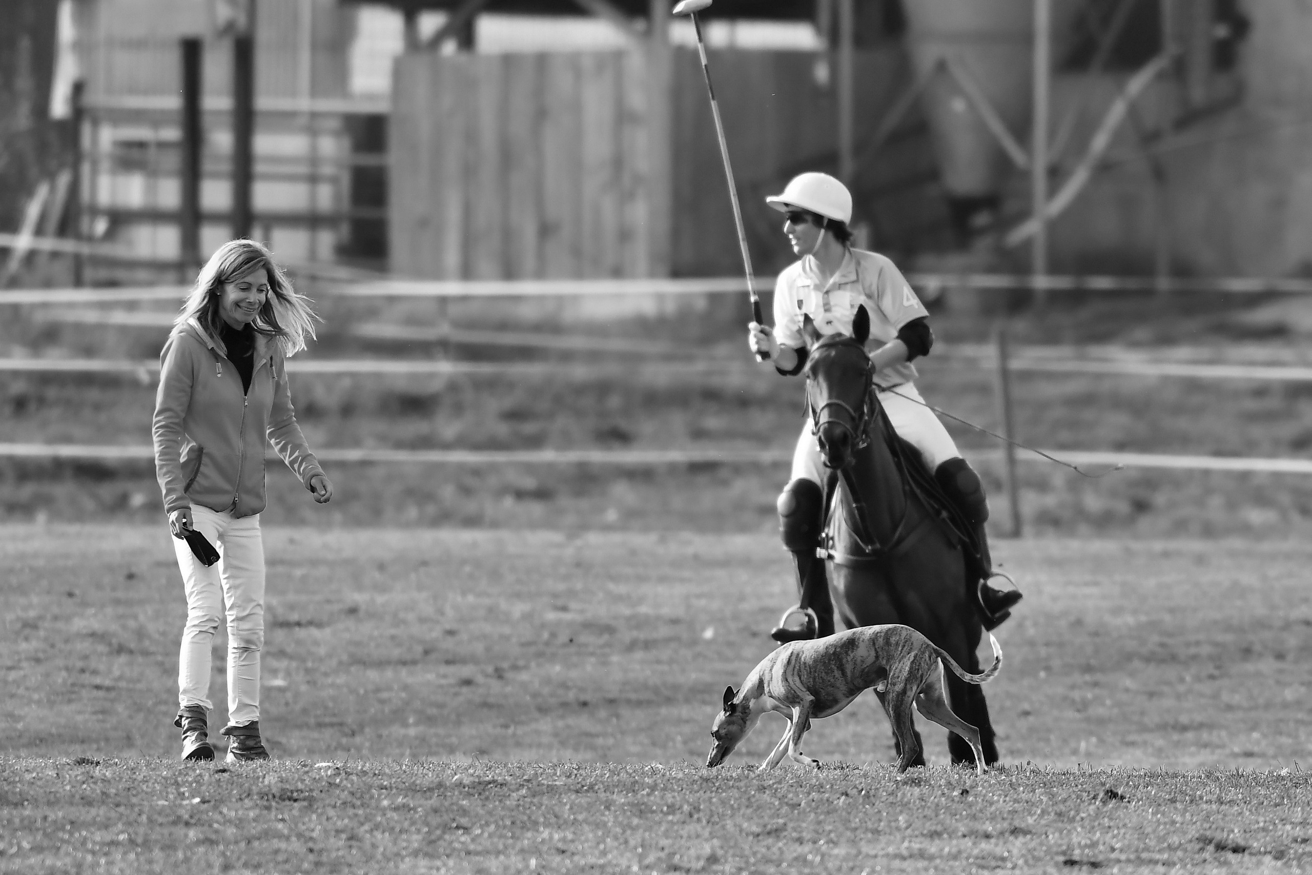 Polo art photos. Art photos of horses — ARTUR BABOEV | Photographer