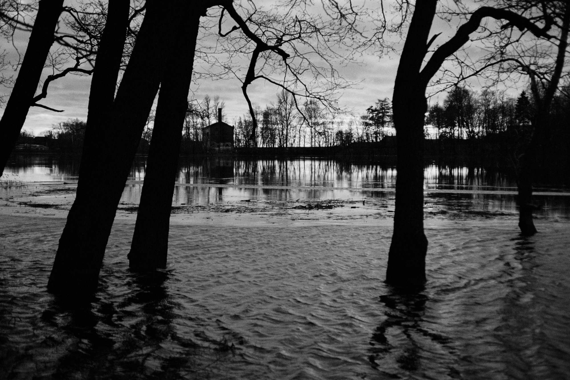 Елена Цихон художник фотографии и мастер фото-ДНК