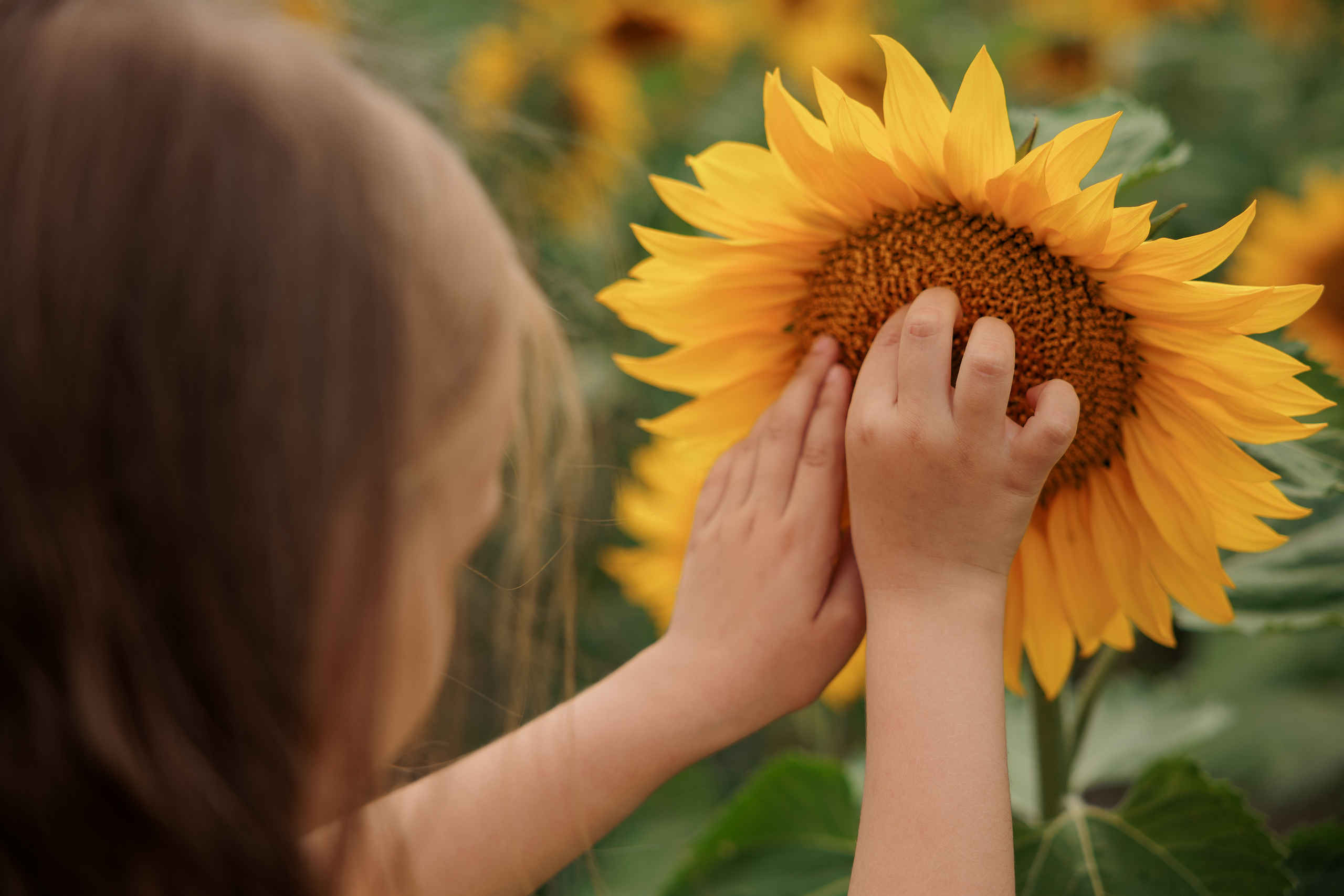 Детская фотосессия. Фотограф Тимофеева Валентина