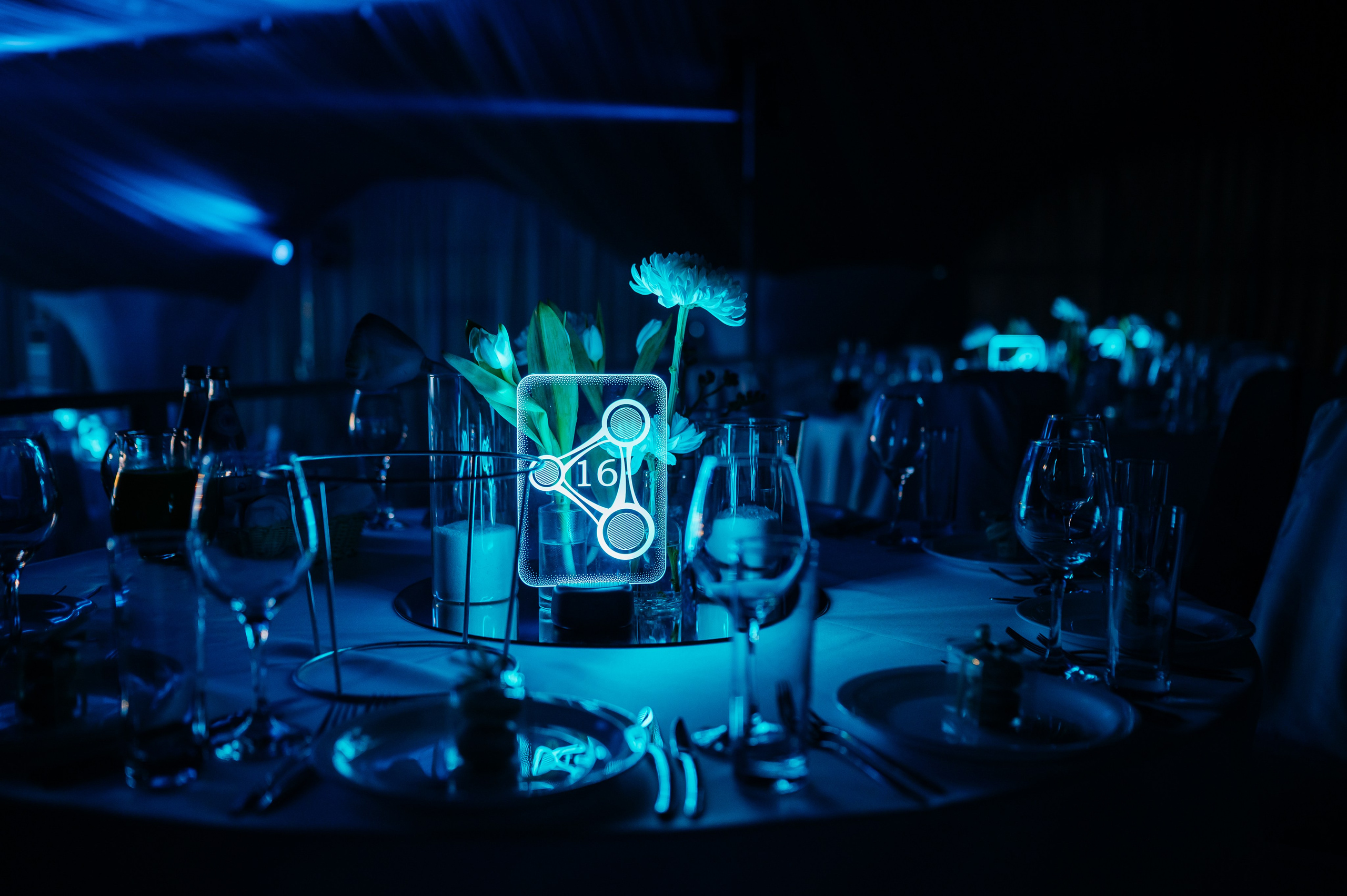 НИИМЭ 60лет. Фотограф Илья Бызов, Свадебный и репортажный фотограф Сочи