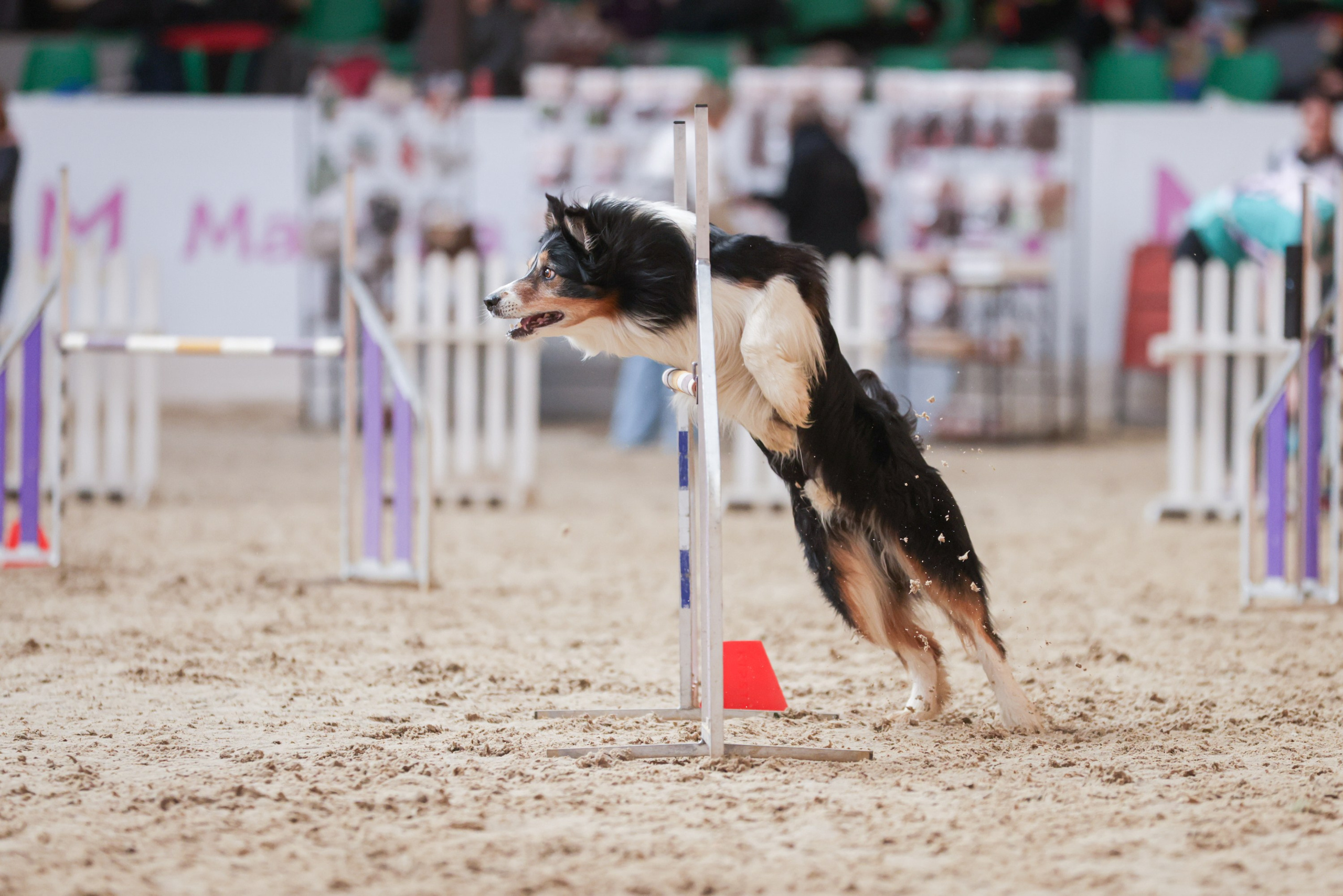 Репортажная съёмка спортивных мероприятий. ESHE_PHOTO Фотограф в Москве и Московской области