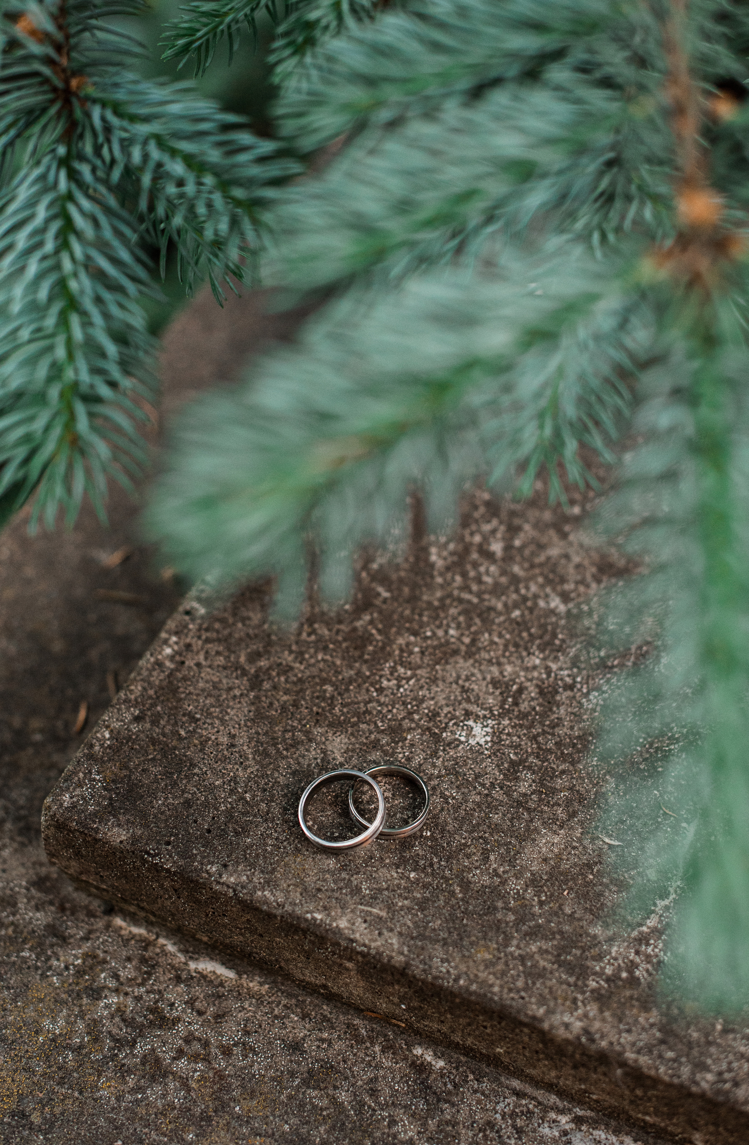 Дмитрий и Мария