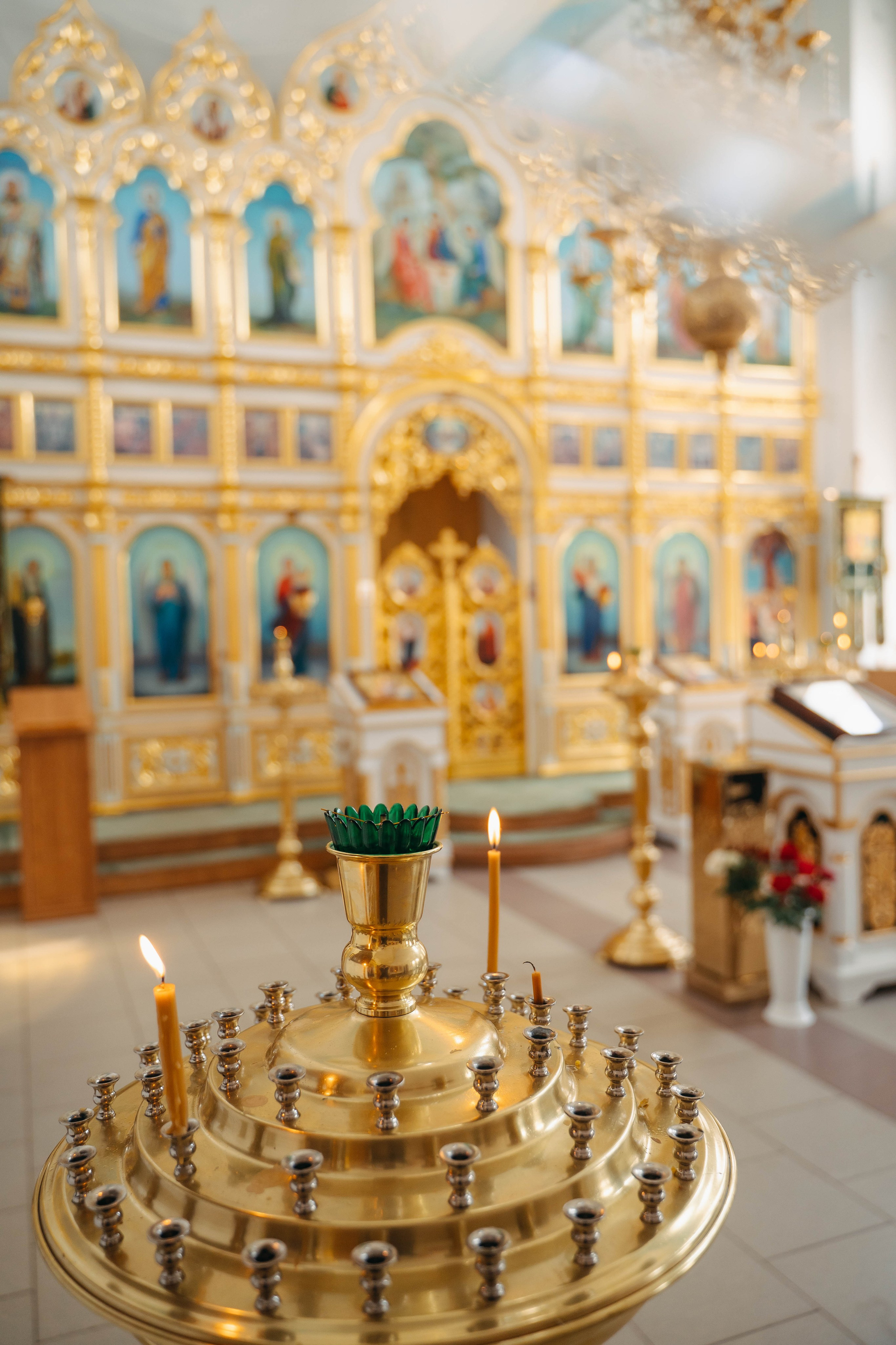 Отзывы. Фотограф Виктория Казановская в Каменске-Шахтинском