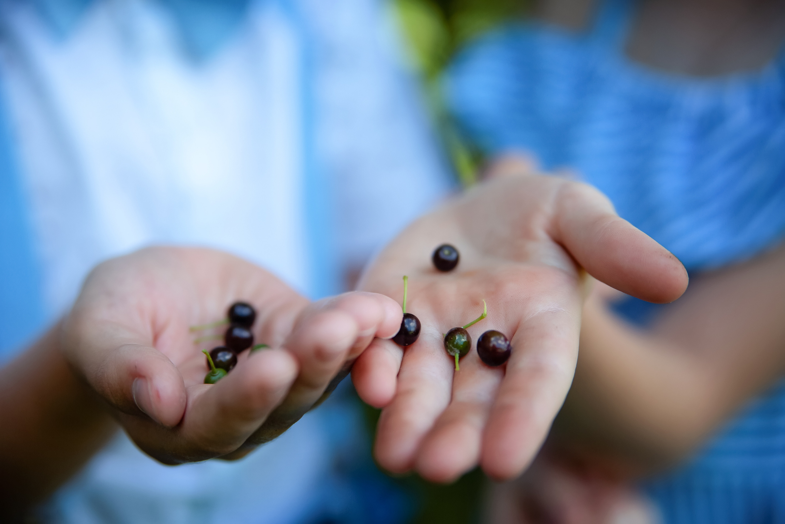 Немного детской забавной истории. Индивидуальная и свадебная фотосъёмка в Москве и МО Ерёмин Павел