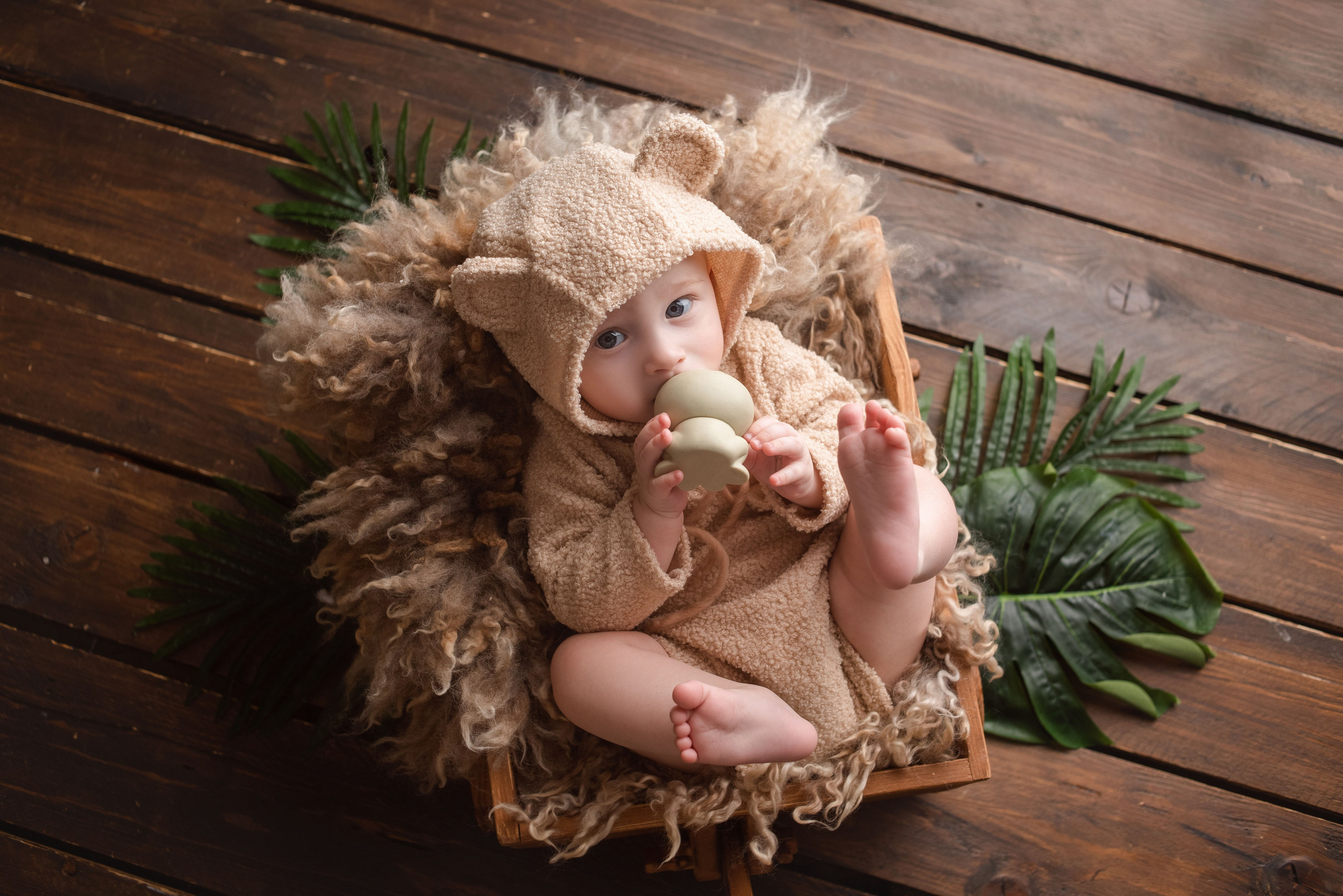 Малыши до года. Фотограф Новорожденных во Владивостоке Ольга Галаницкая