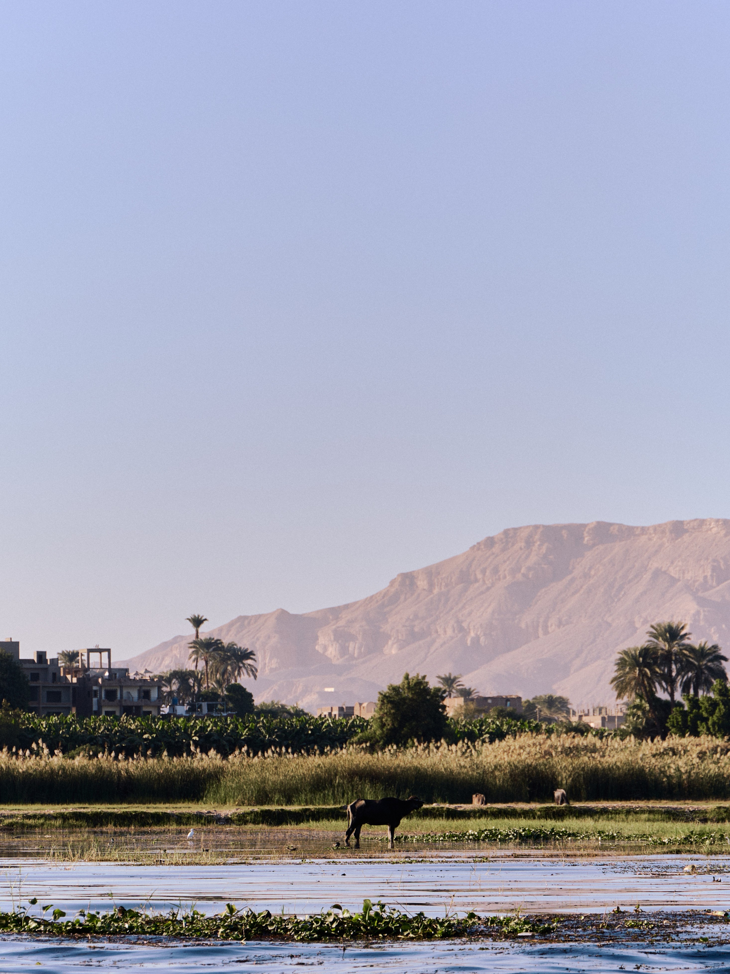 Другое 4. Jorgis — фотограф в Хургаде / обучение фотографии
