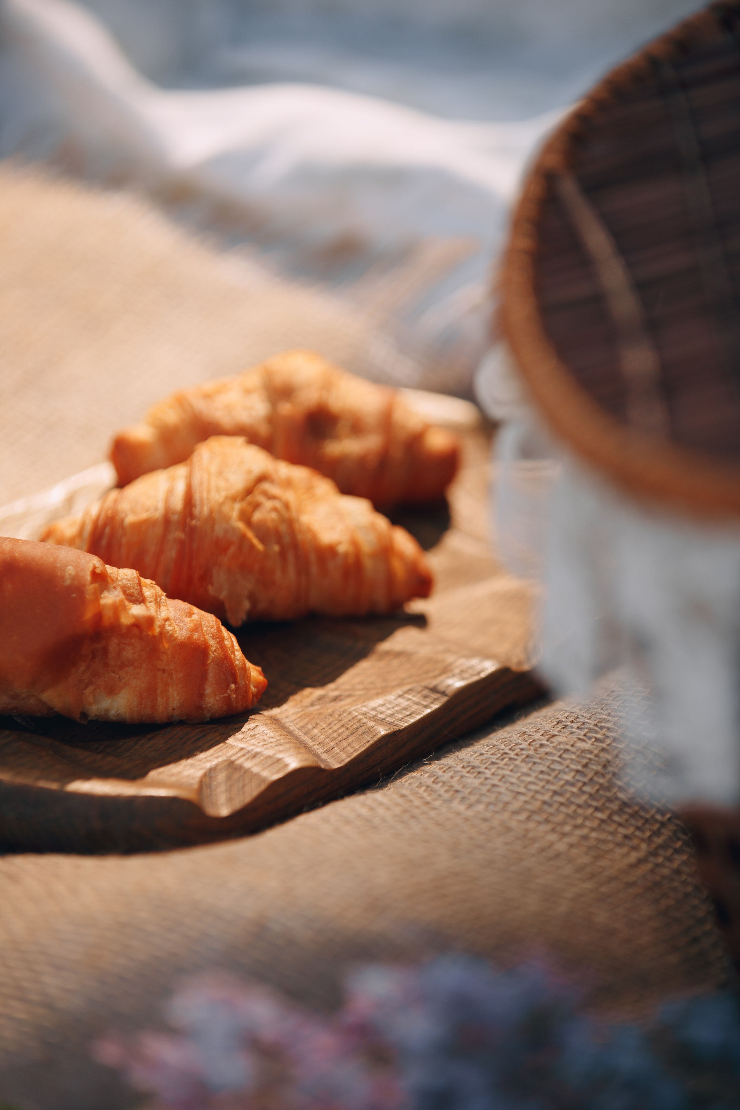 Оля, Патрик, Мейли и Джонни. Фотограф анималист Кристина Карпова, Москва