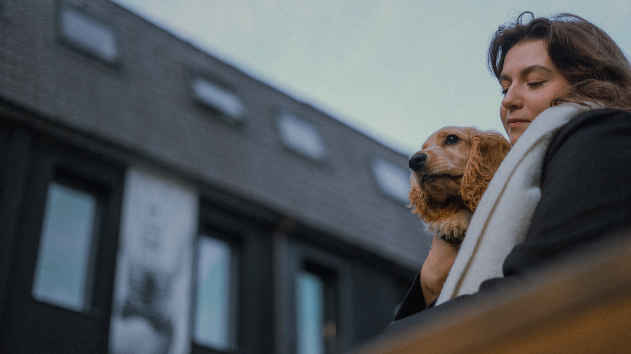 Аня, Андрей и Юта. Фотограф-анималист Богданова Полина