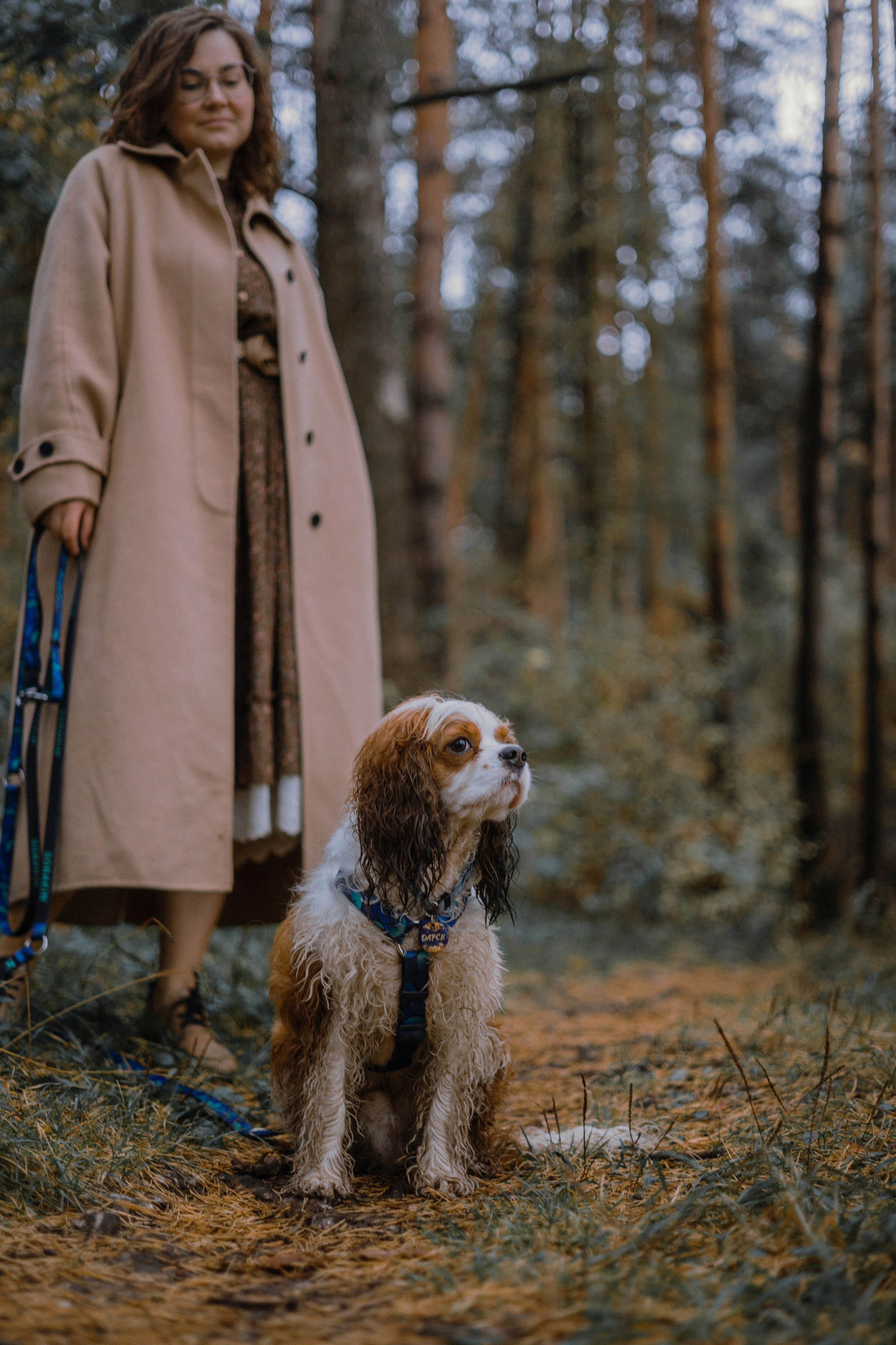 Маша и Дарси. Фотограф-анималист Богданова Полина
