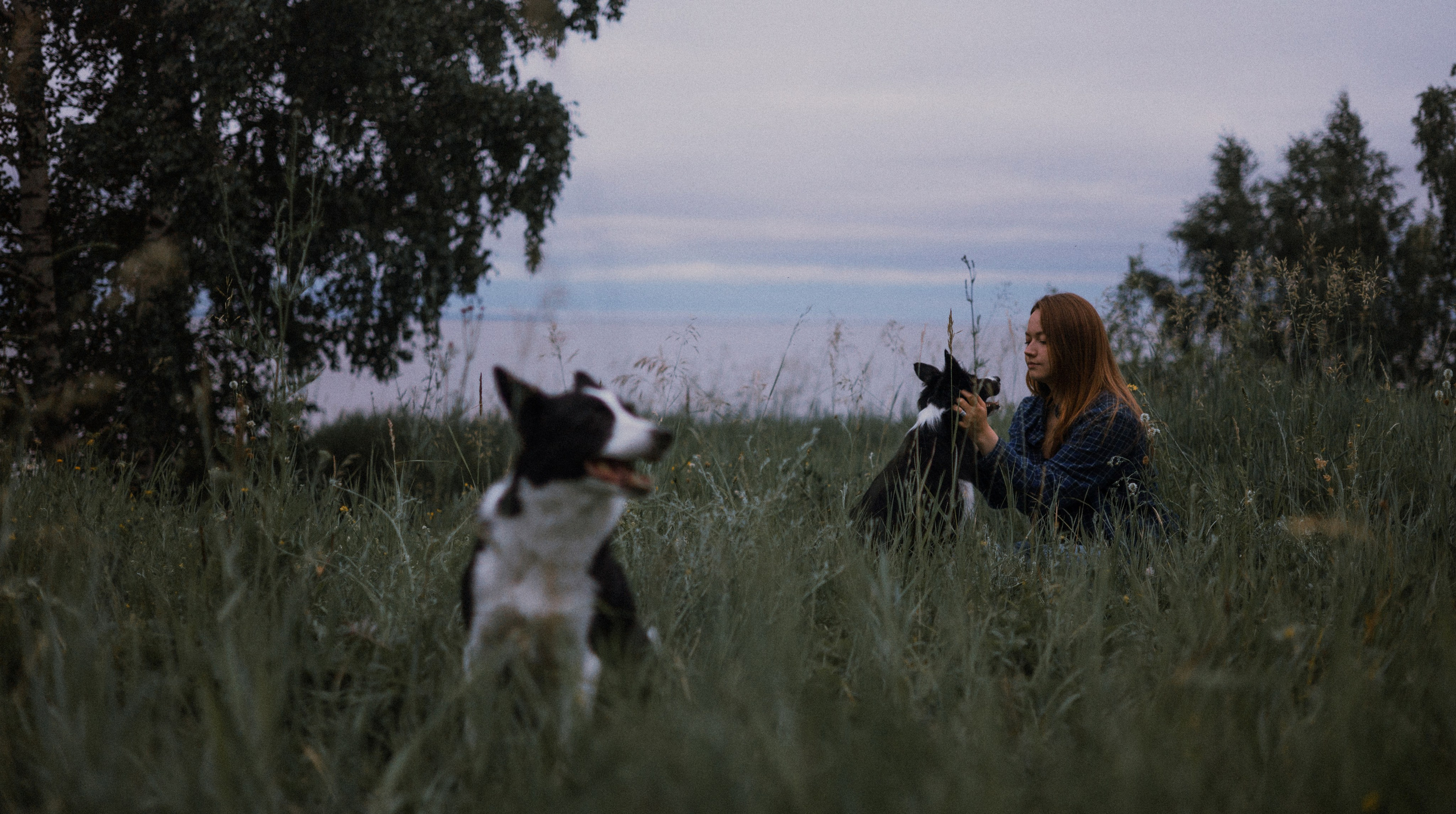 Аделя, Вандер, Шайна и Бая. Фотограф-анималист Богданова Полина