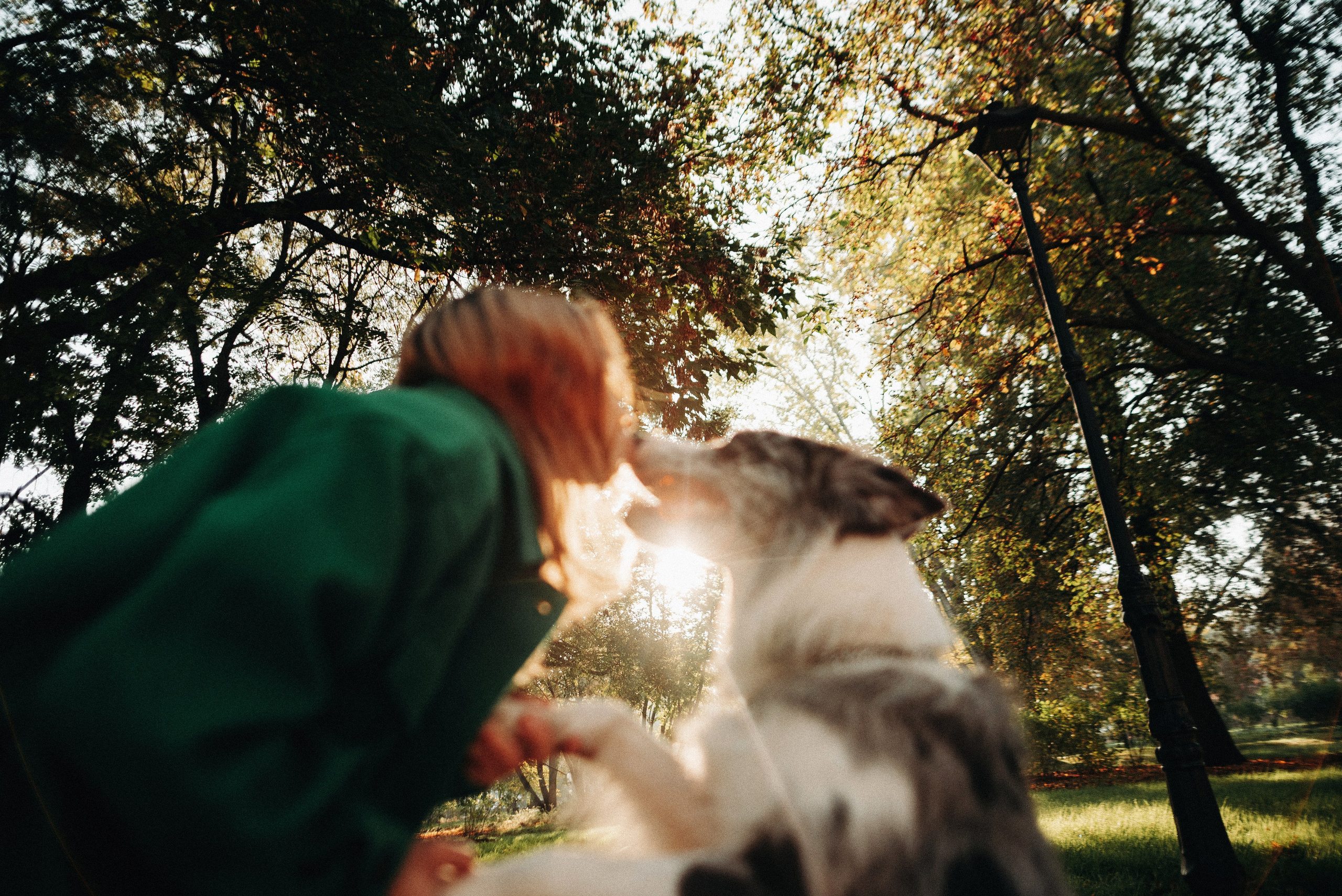 Диана и Робин. Фотограф-анималист Богданова Полина