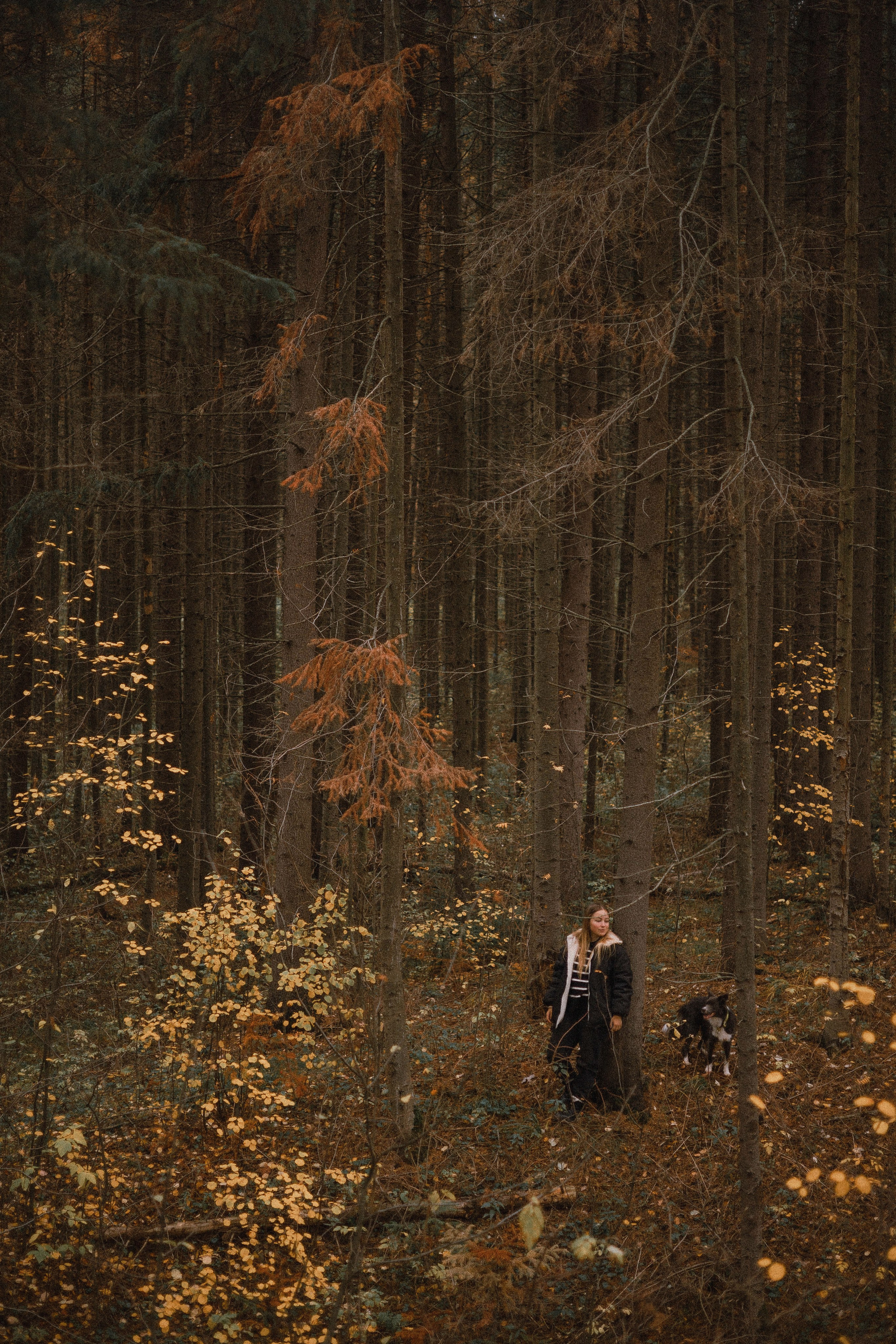 Даша и Дже. Фотограф-анималист Богданова Полина