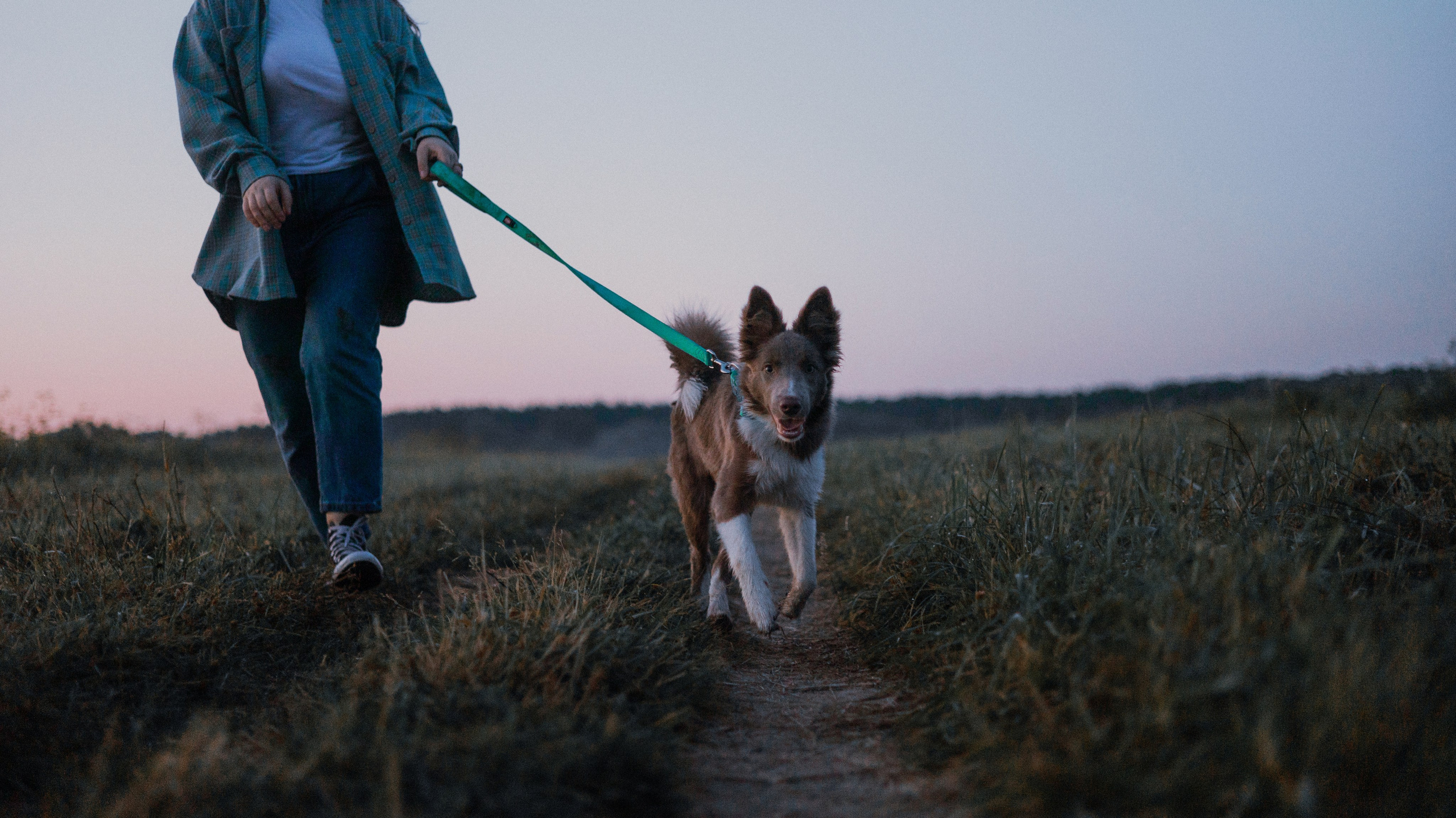 Полина и Паддингтон. Фотограф-анималист Богданова Полина