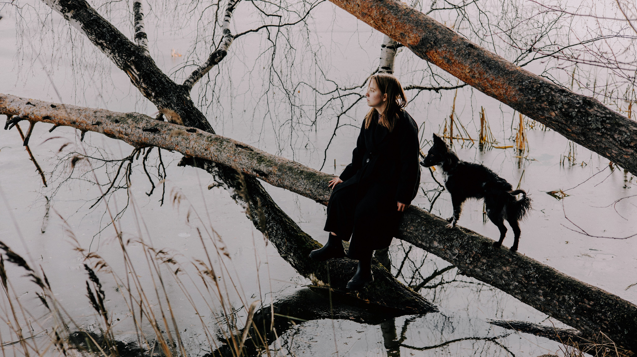 Полина и Сейви. Фотограф-анималист Богданова Полина