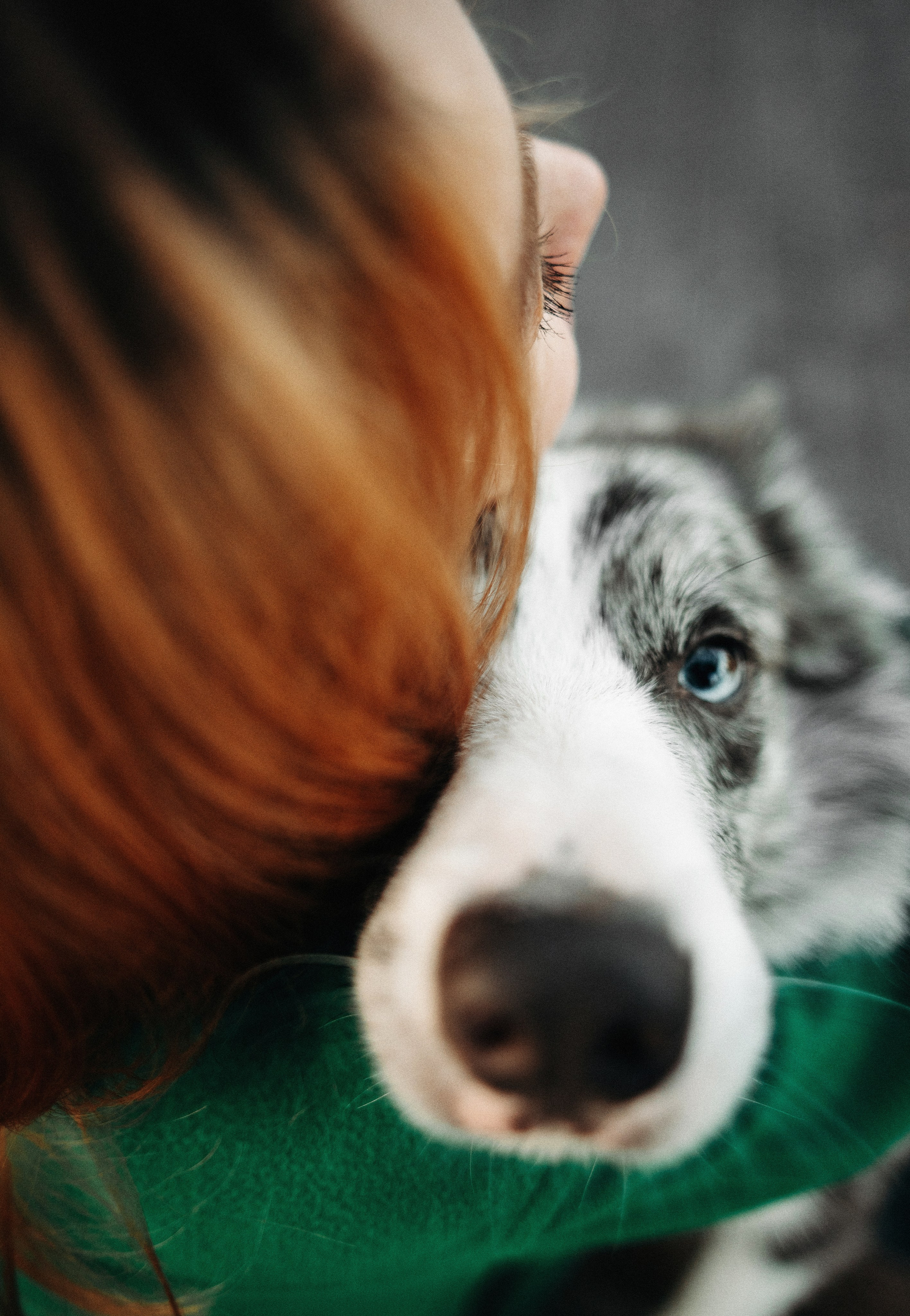 Диана и Робин. Фотограф-анималист Богданова Полина