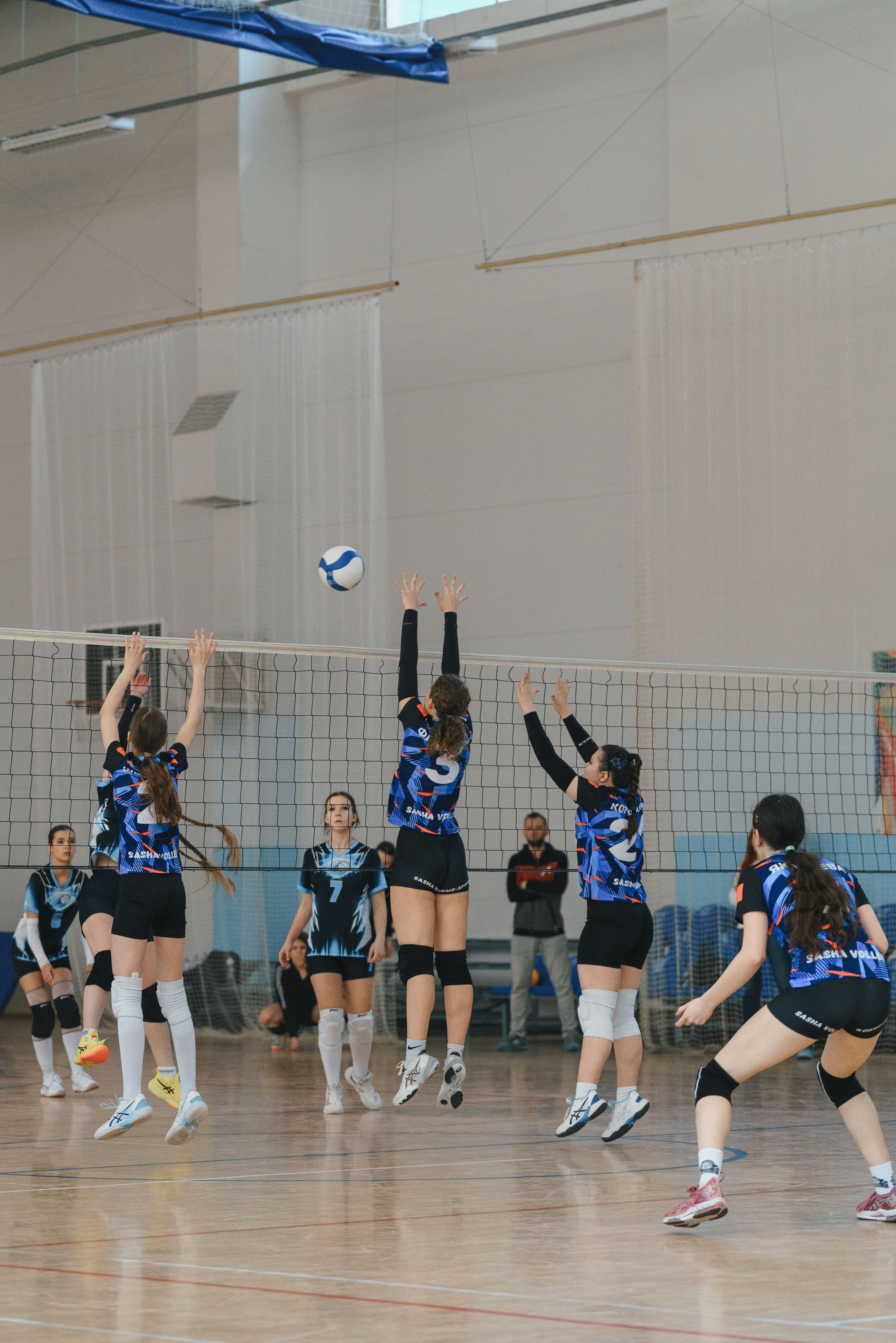 Волейбол торус. Фотограф-анималист в Санкт-Петербурге