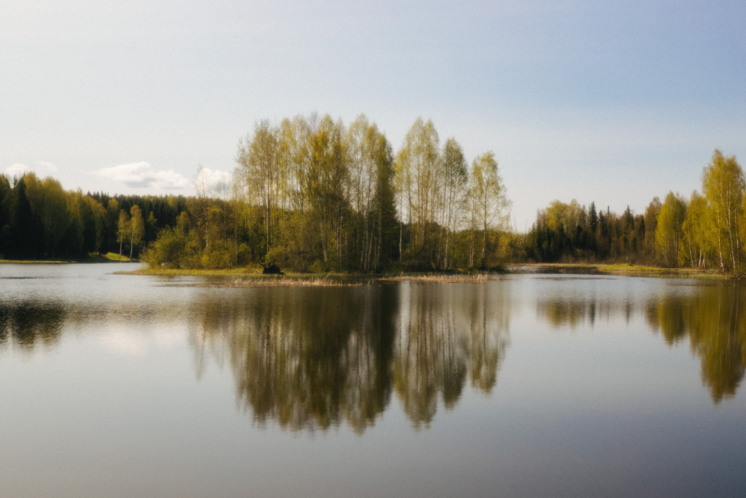 Пейзаж. Фотограф Александр Тихонов
