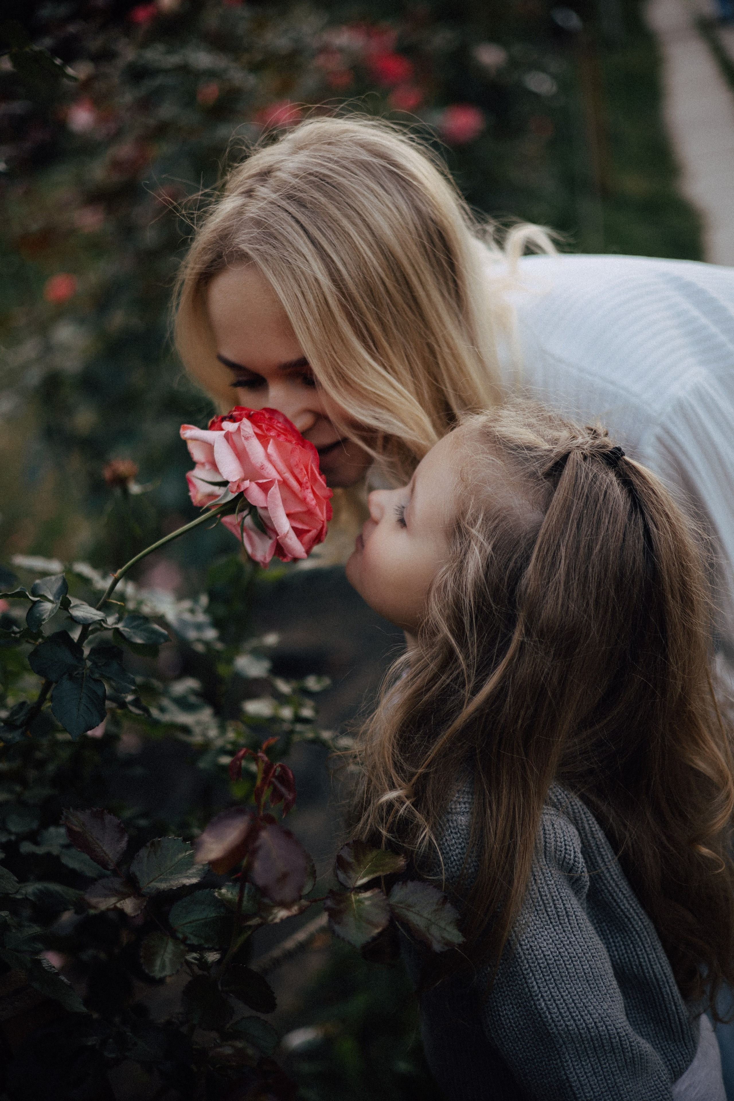 Кристина и Никуся. Семейный и свадебный фотограф в Москве Вероника Жибинова