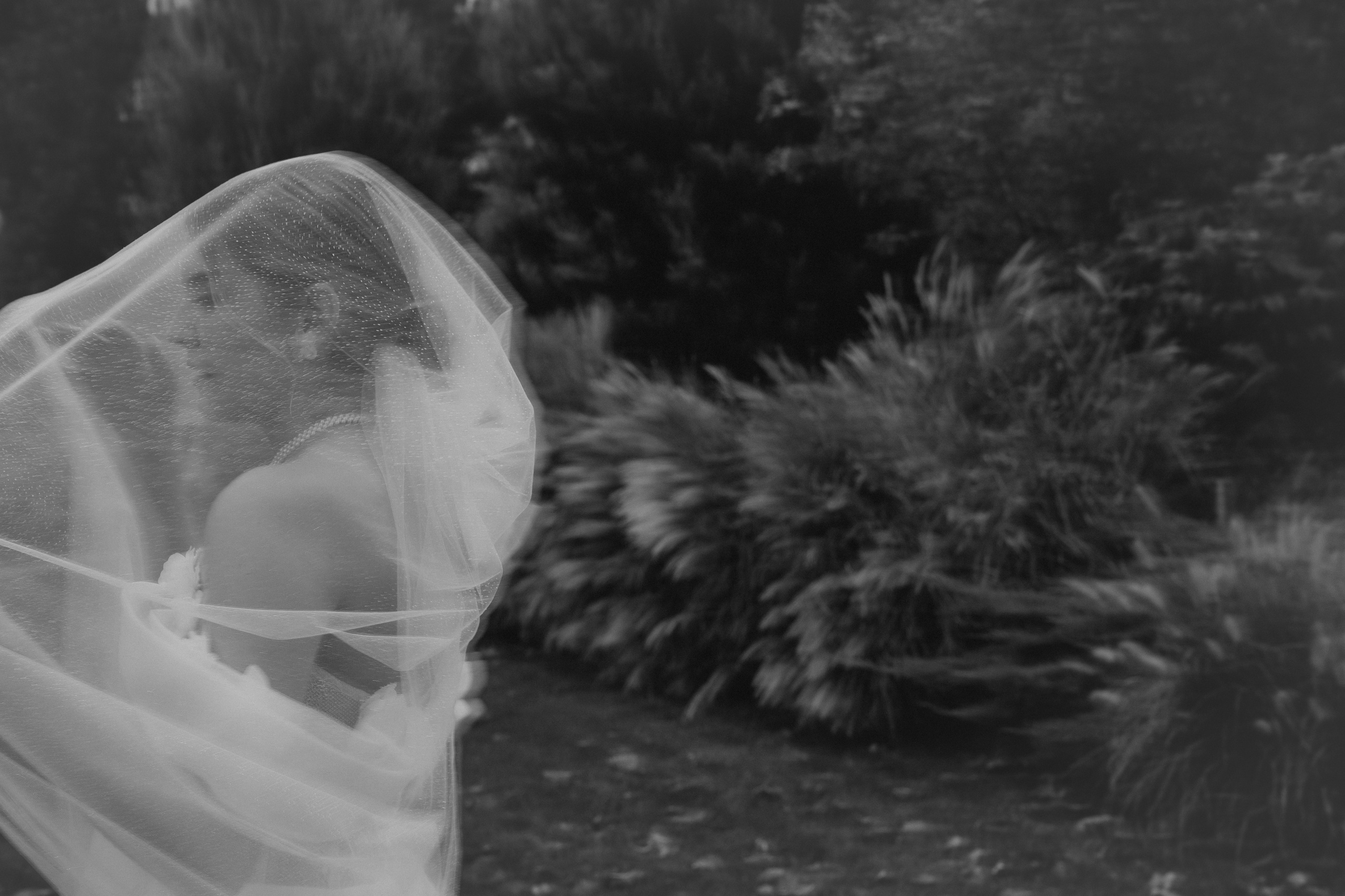 Яна и Максим. Свадебный и Семейный фотограф в городе Тимашевск и Краснодар