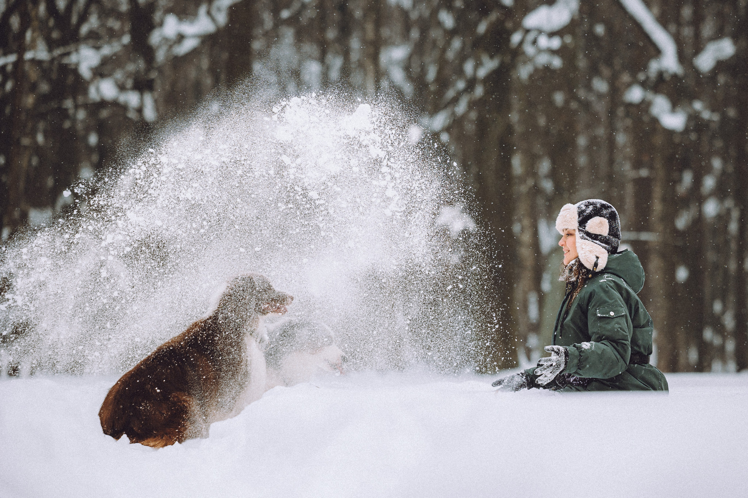 Лена, Принц и Фенек