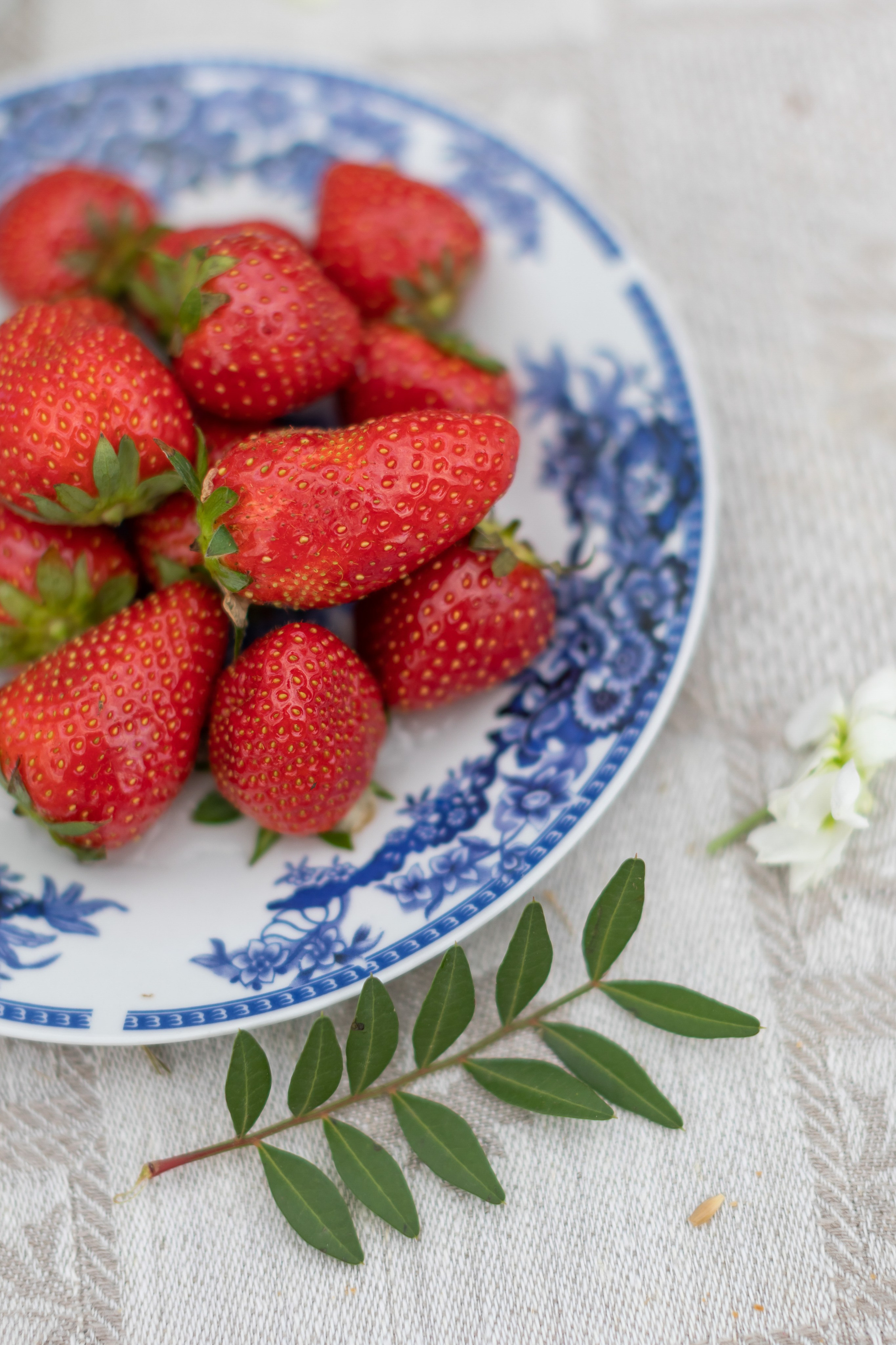 Съемка для проекта: Театрализованный ужин «Один летний день» в отеле Wawelberg. NesterovaMaria.ru