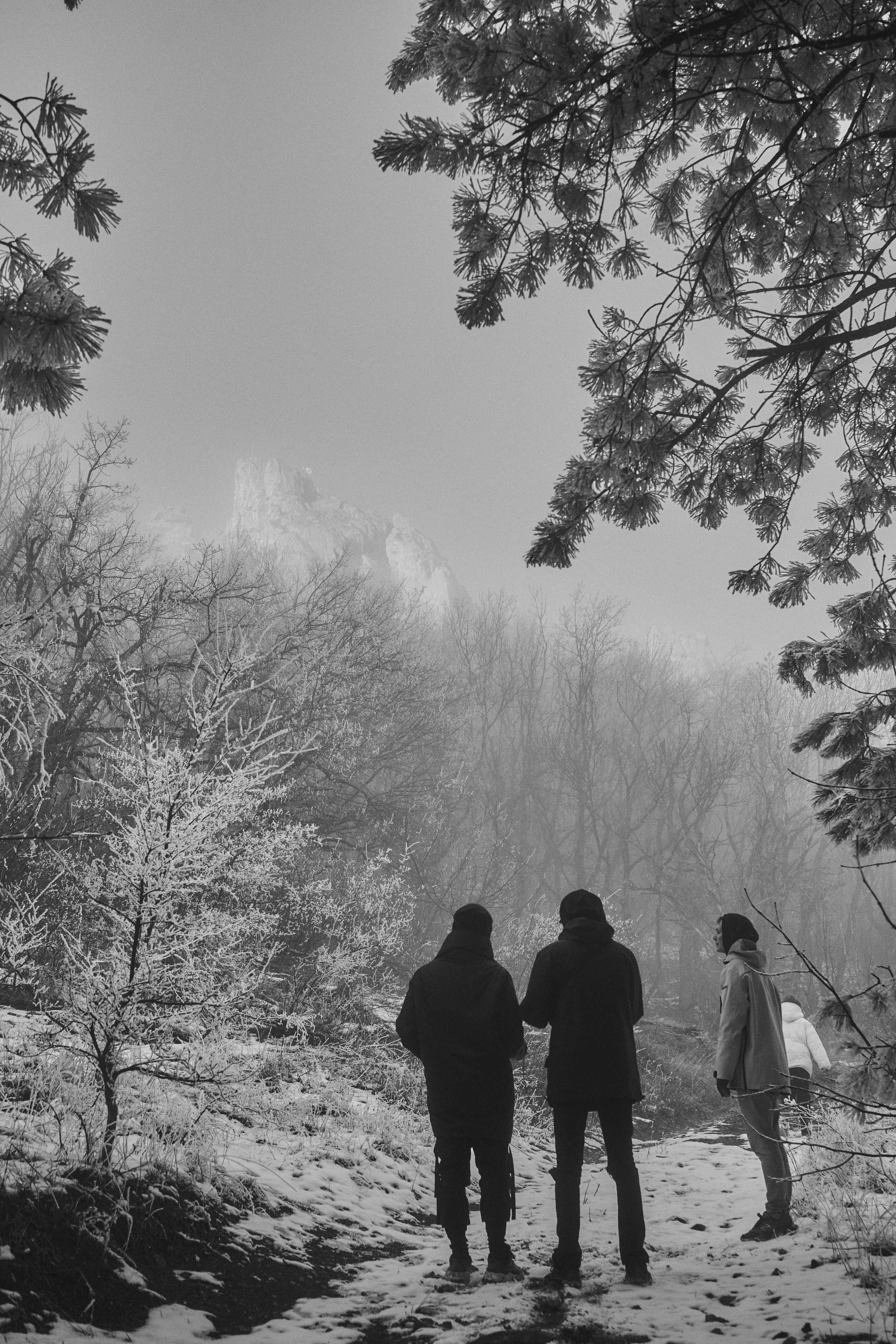 Backstage. Продюсер