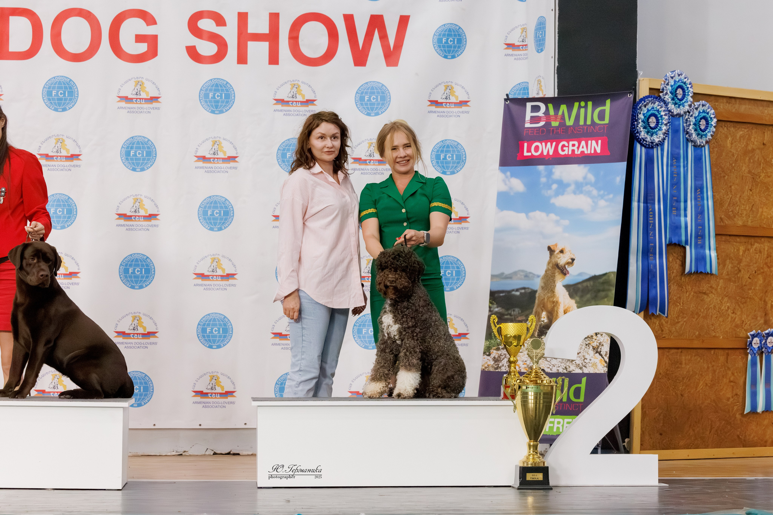 Ереван 2х CACIB 29-30.04.2025. Фотограф-анималист Юлия Германика