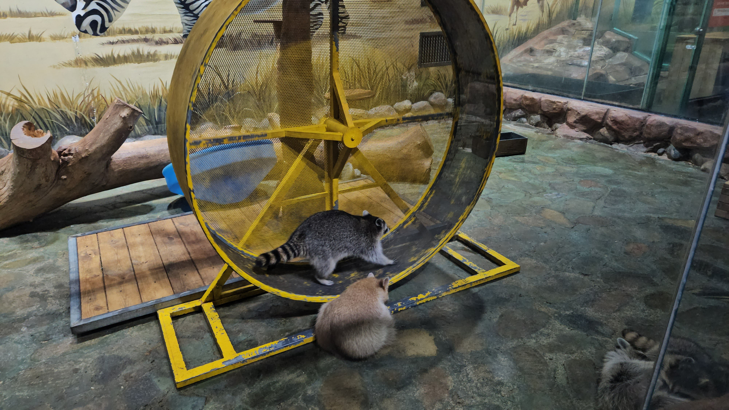 Китай. Июль 2025