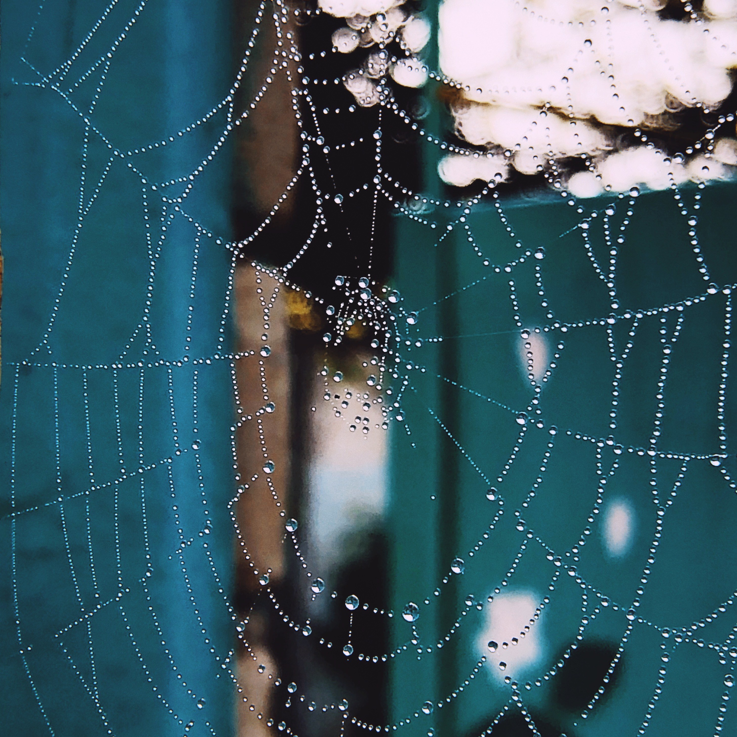 Визуальный дневник. Портретный фотограф в Москве Гахраманова Екатерина