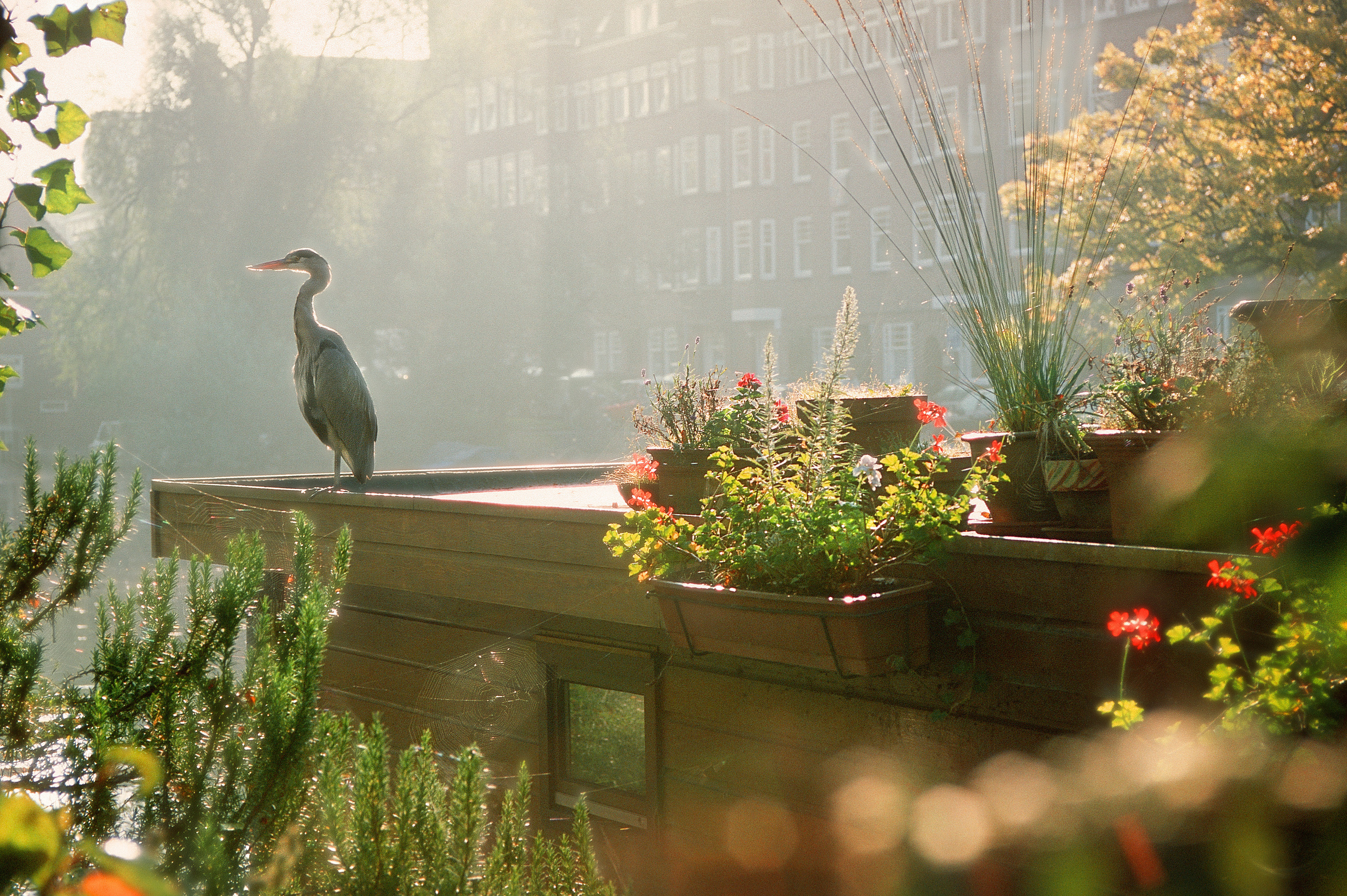 Travel. Фотограф Антон Денисенко: Портрет, Документалистика, Пейзаж. Москва