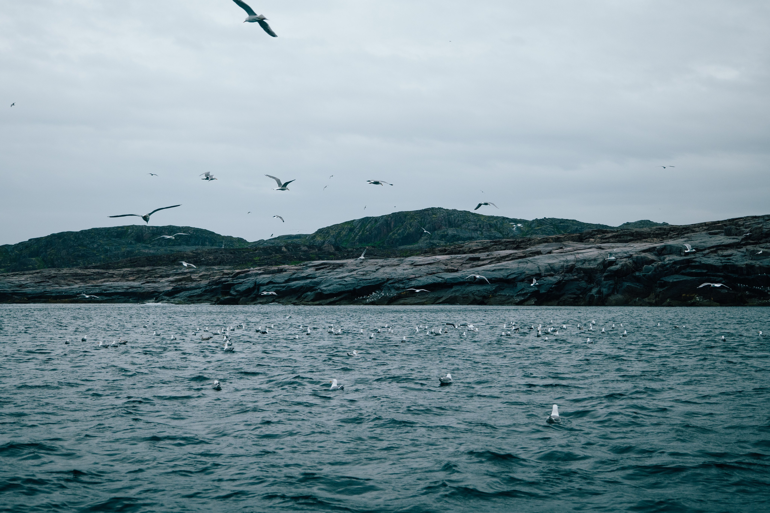 ТЕРИБЕРКА. Создание контента | Фото | Видеосъемка | Александр Ярков