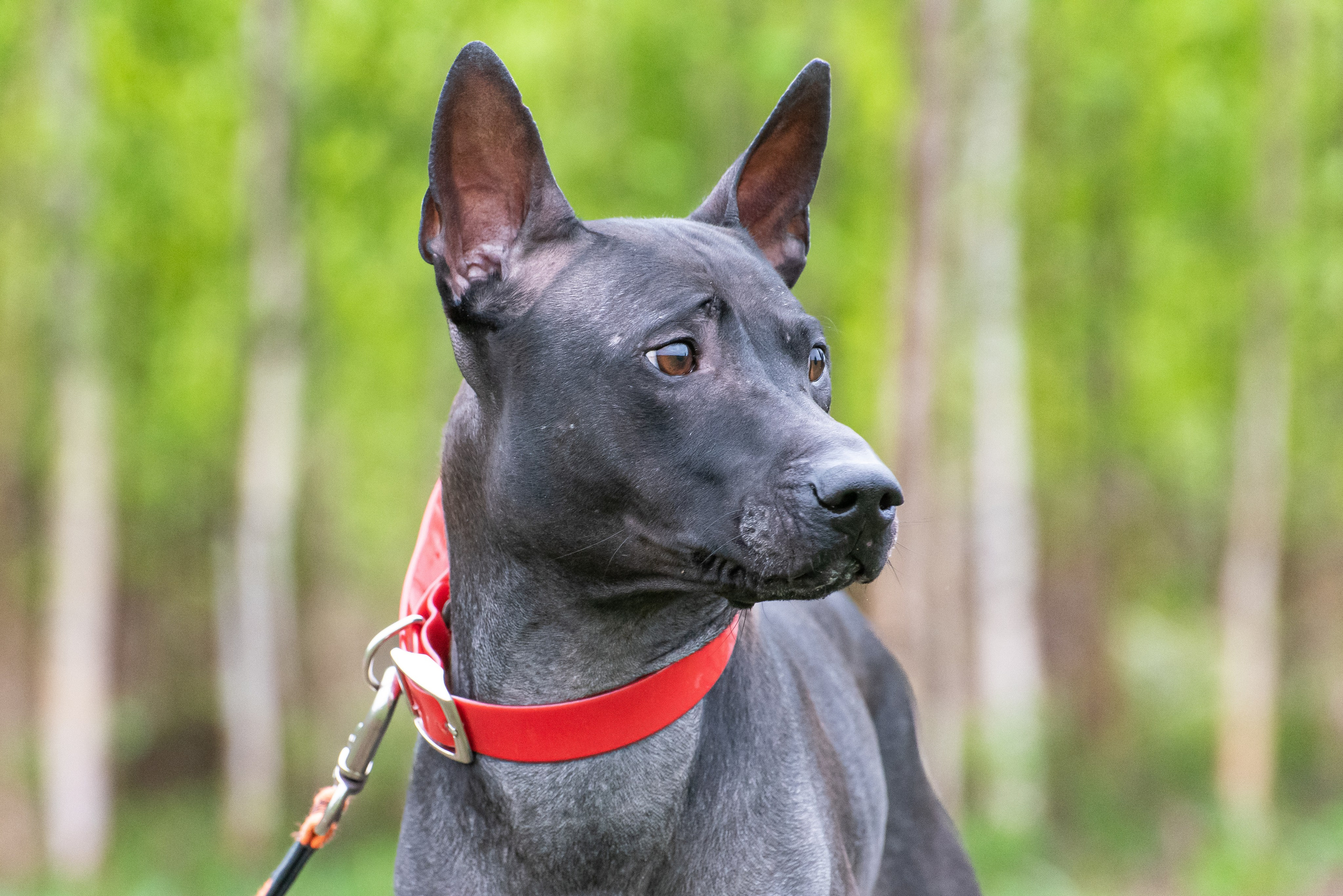 Фотографии с Курсинга. Фотограф Макс Огурцов в Нижнем Новгороде