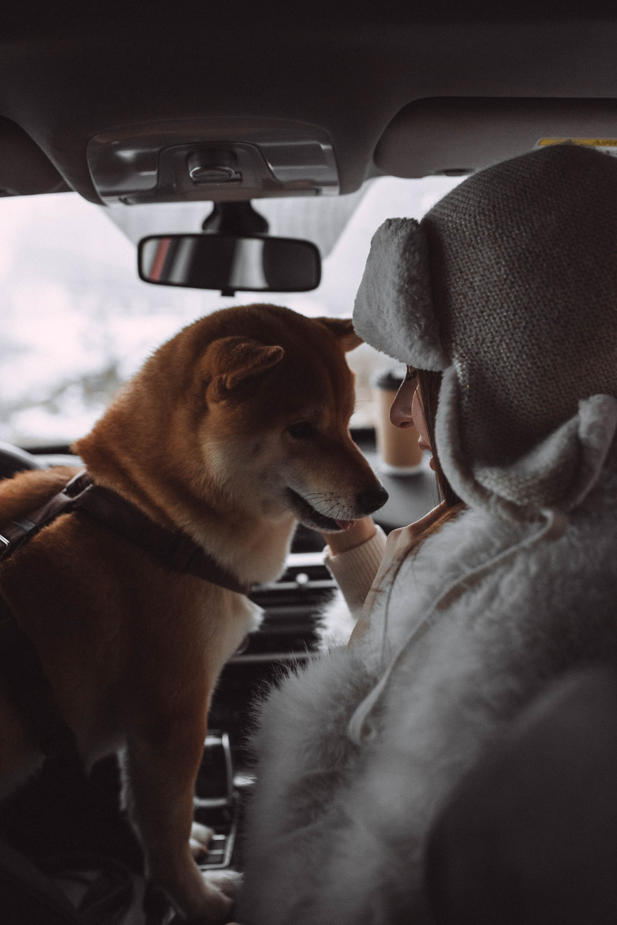 Лера и Каппи. Семейный и женский фотограф в Москве/Твери. Меня зовут Яна Гош