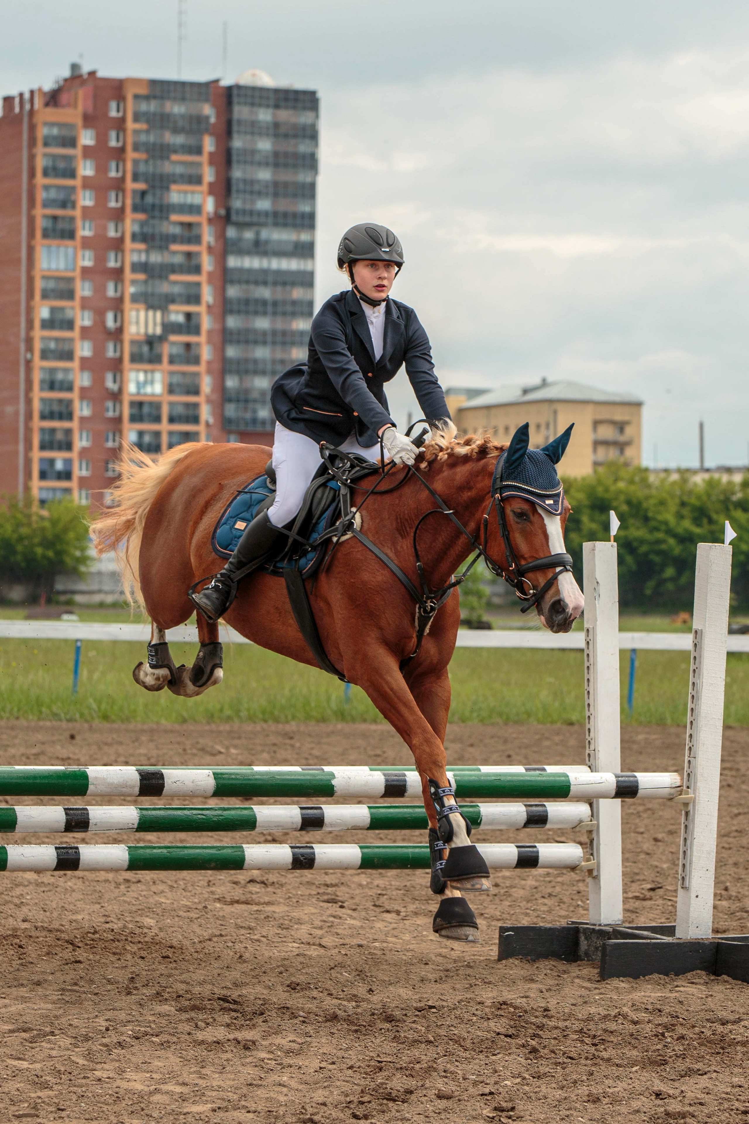 2024. Конный фотограф в Красноярске — Любовь Похабова