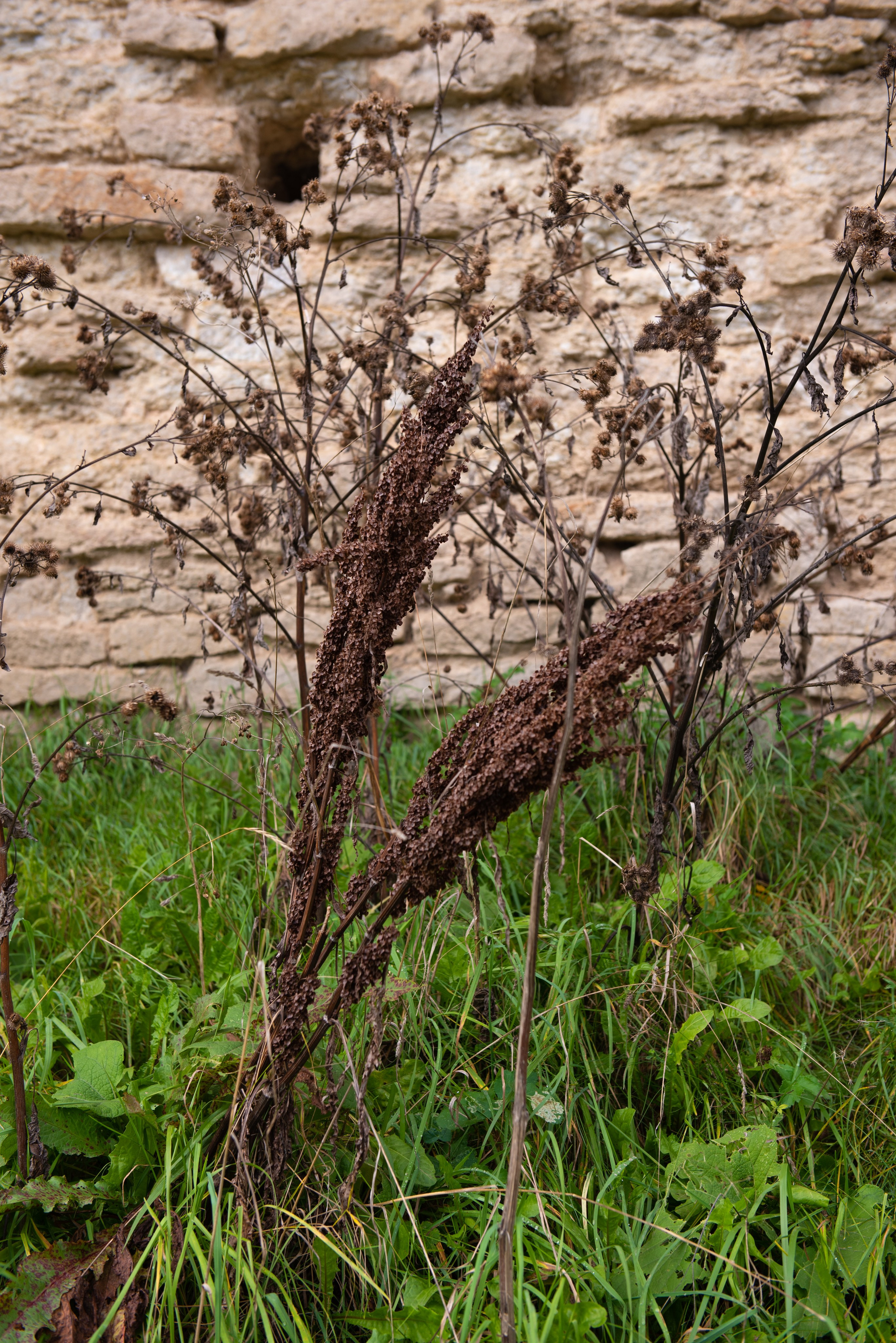 Изборск. Портретный и архитектурный фотограф в Москве и Санкт-Петербурге