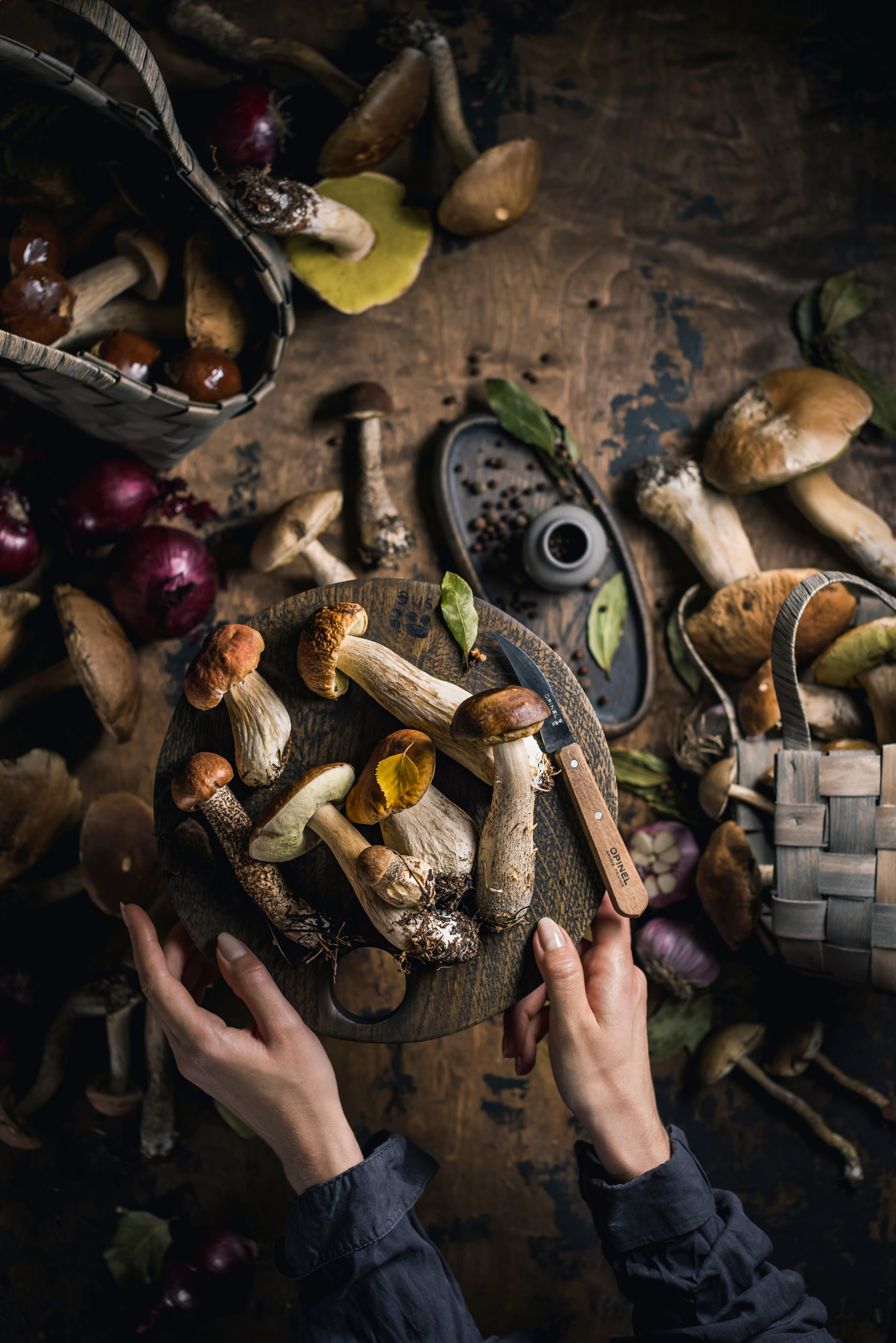 Mushrooms stories. Foodie Stories (гастрономические истории) рекламная фуд-фотосъёмка, Москва