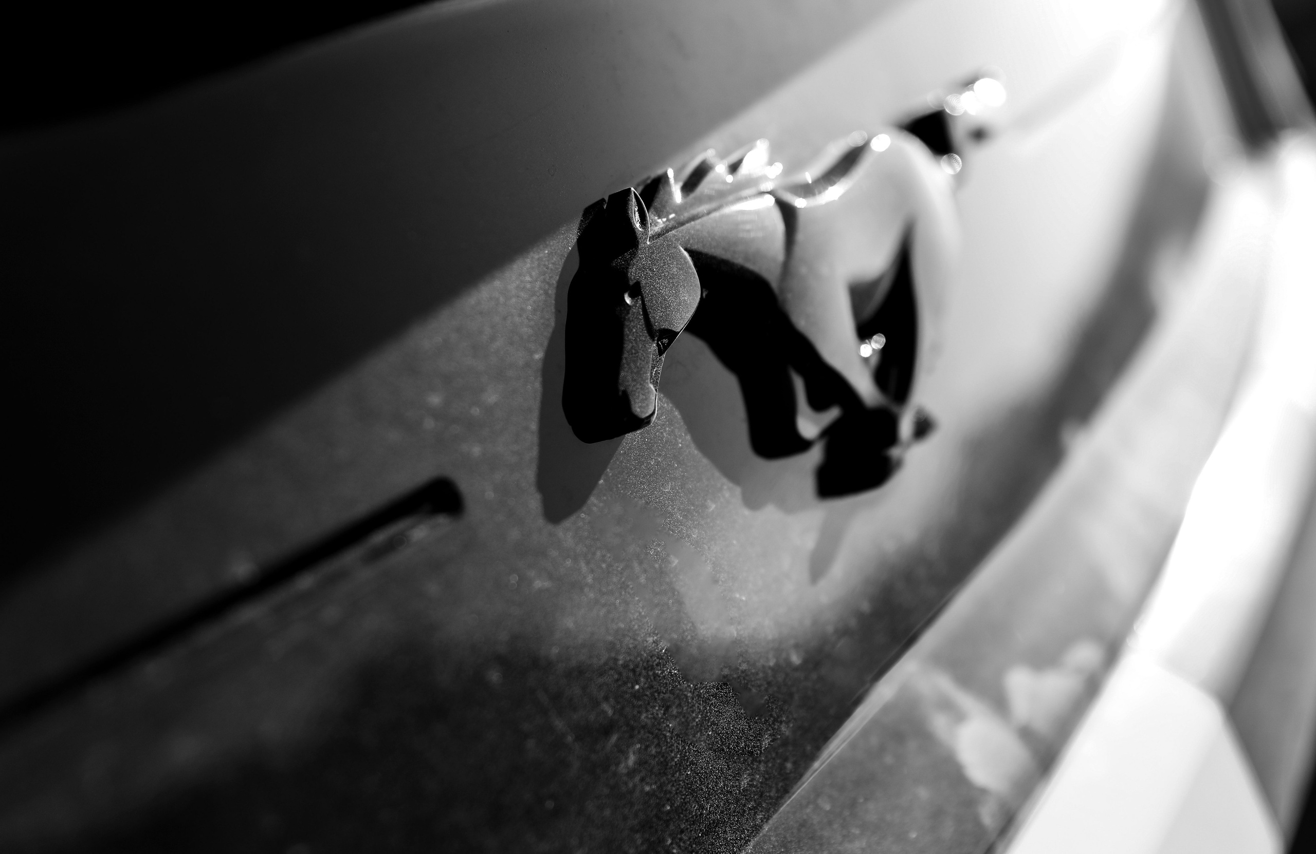 Иван и Кристина. Свадебный и семейный фотограф в Севастополе и Крыму Анастасия Сураева