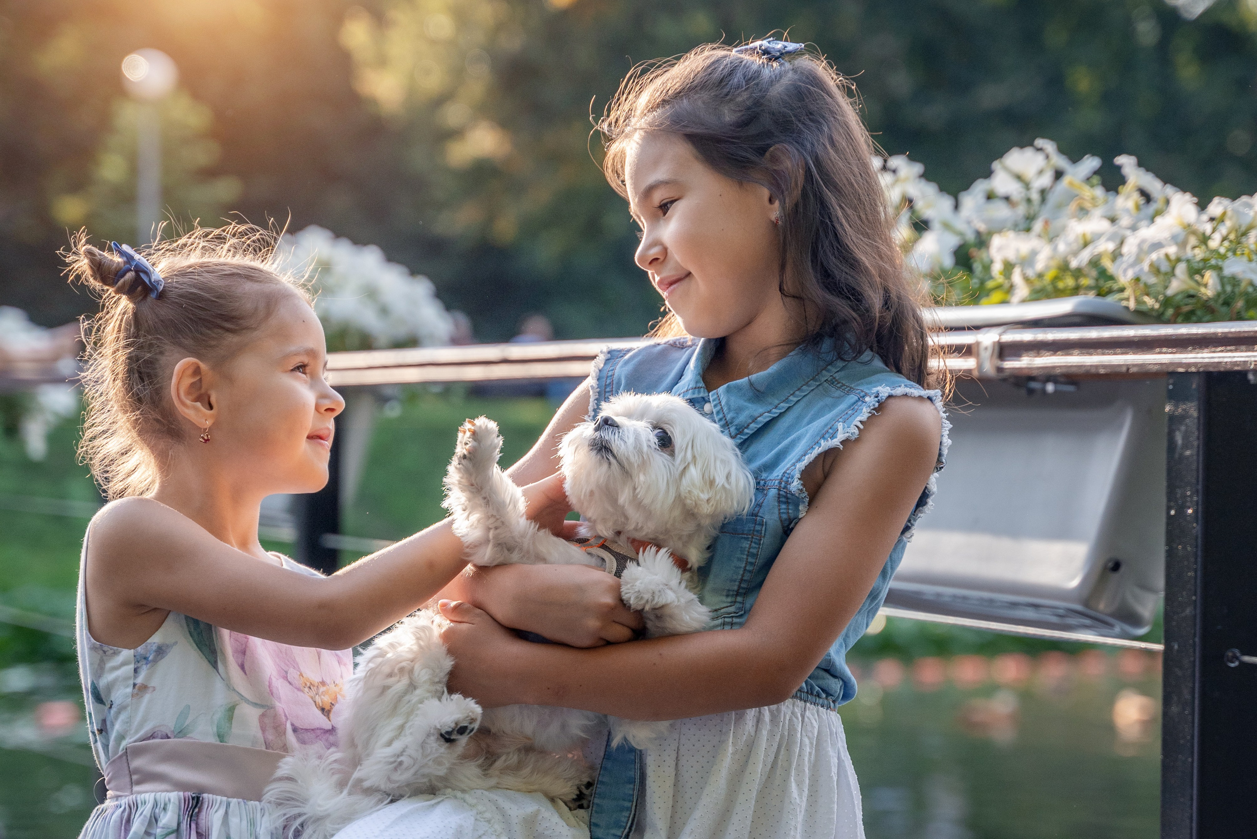 Виктор и Елена. Выпускные альбомы Москва и МО. Школьный и семейный фотограф