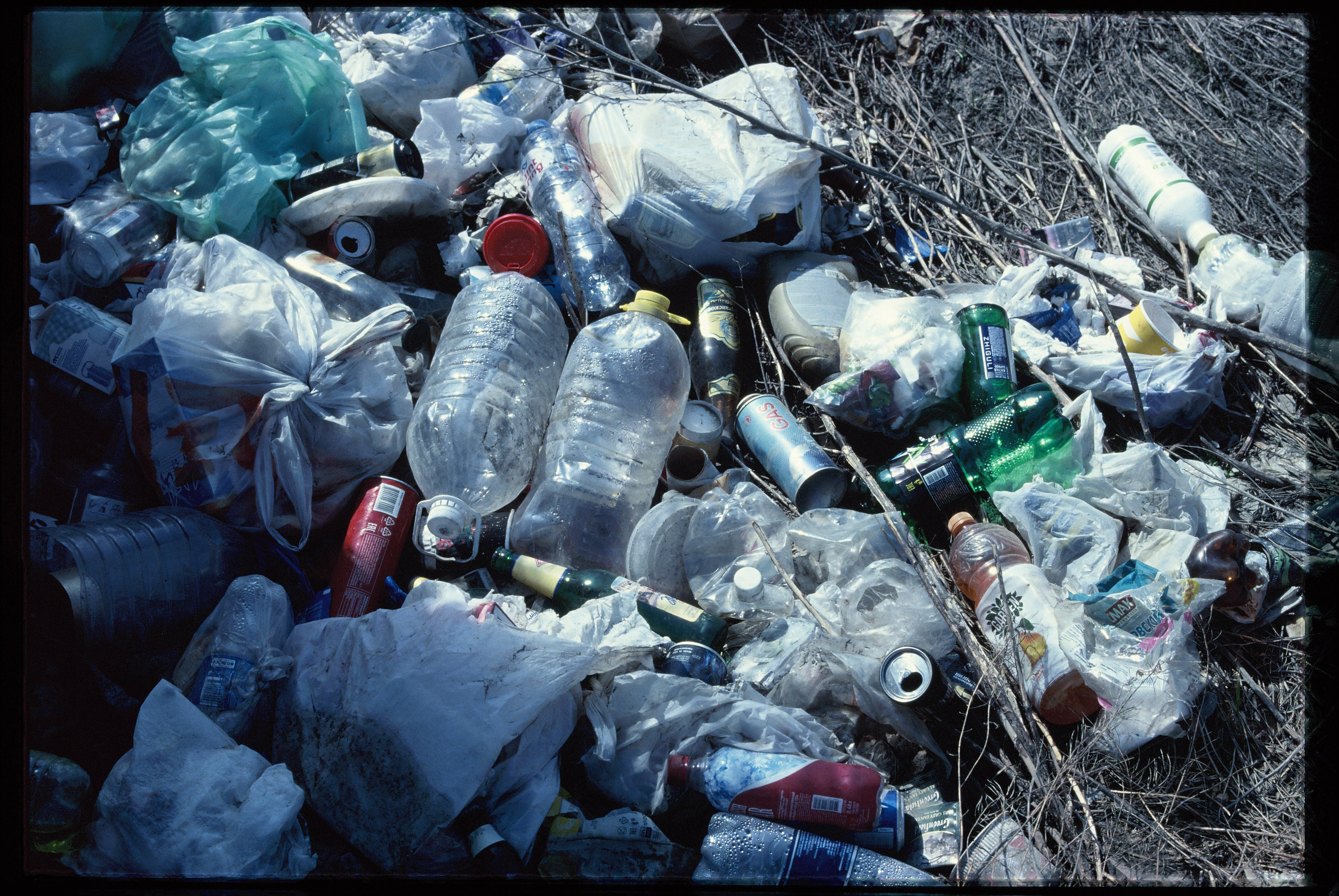 SILK ROAD. Dima Ptitsyn