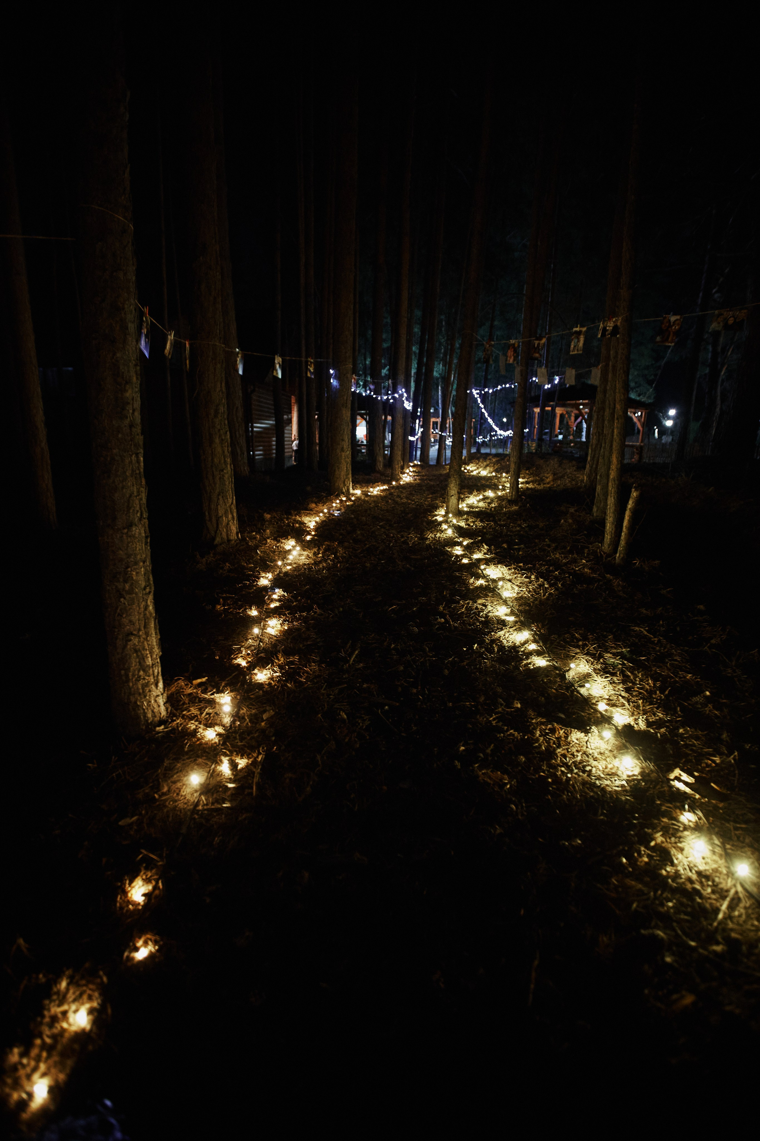 Рома и Полина Банкет. Ваш фотограф Антон Колташов город Курган Тюмень Челябинск Екатеринбург