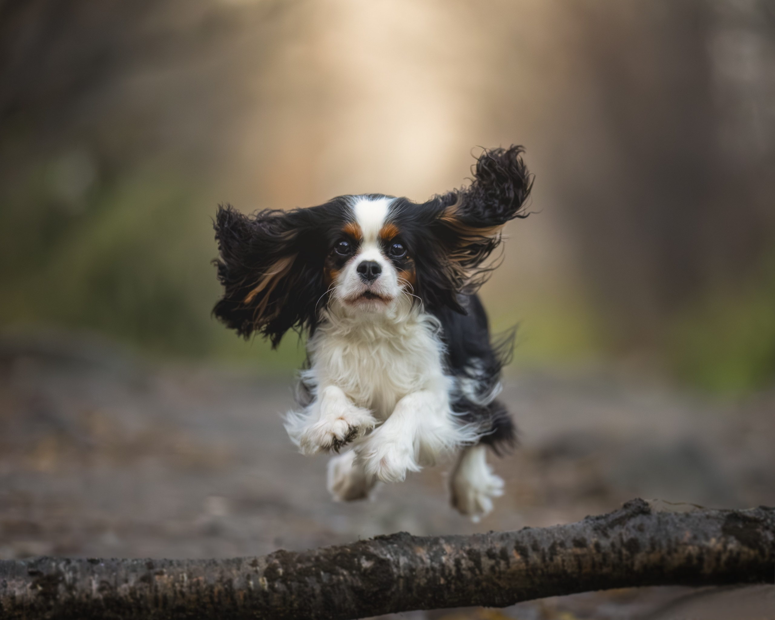 ККЧС Луна. Главная