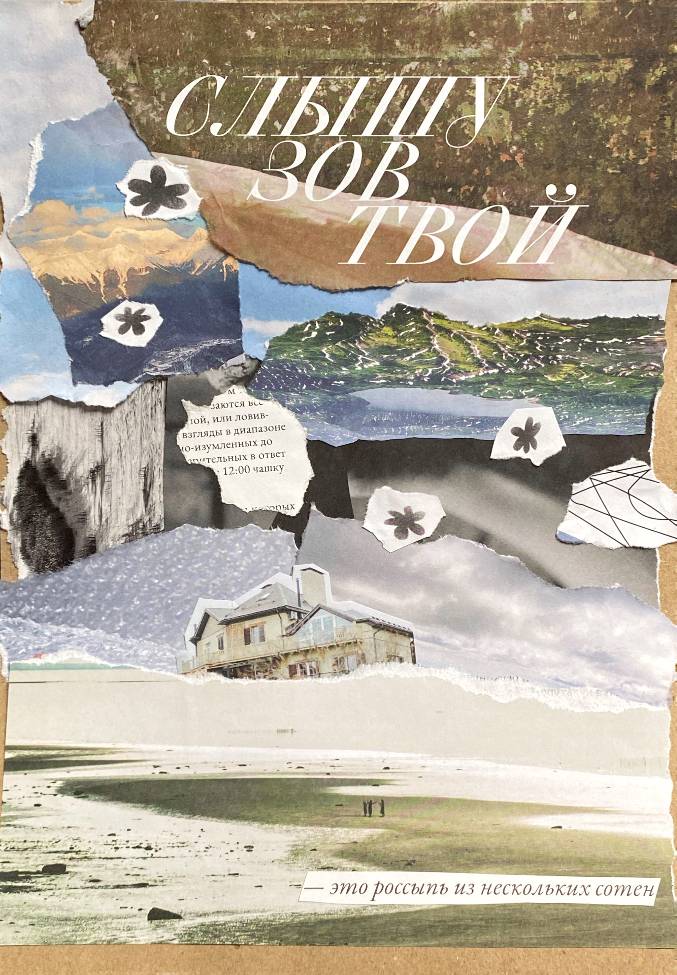 Коллажи. Мультидисциплинарная художница