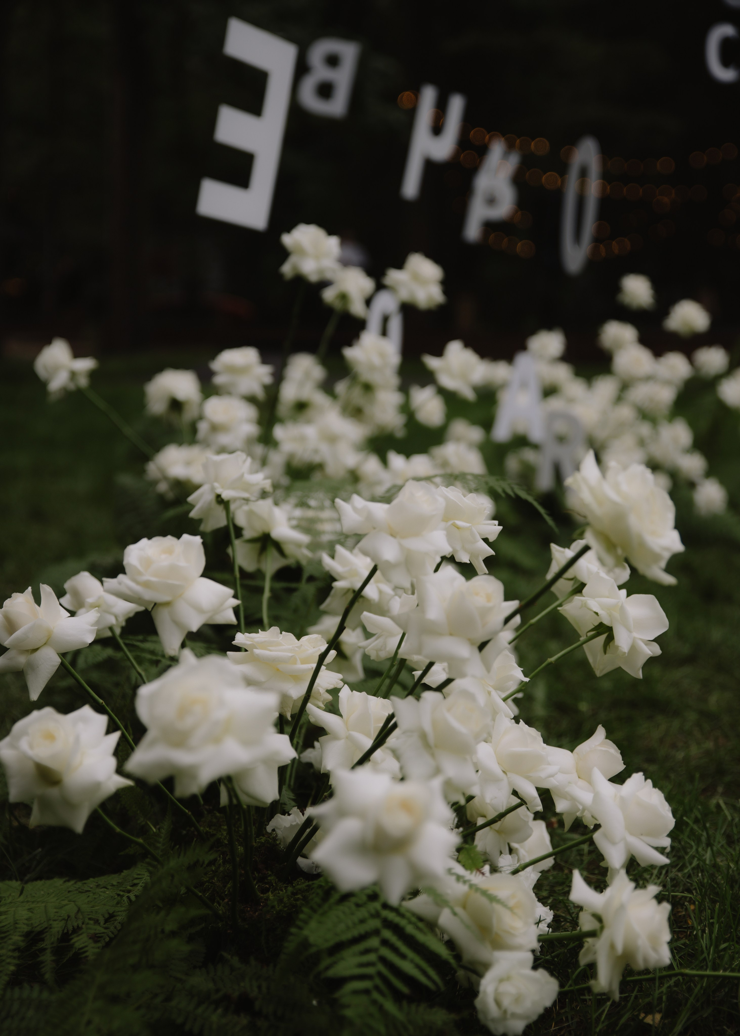 Михаил & Марина. Свадебный фотограф Москва и Подмосковье