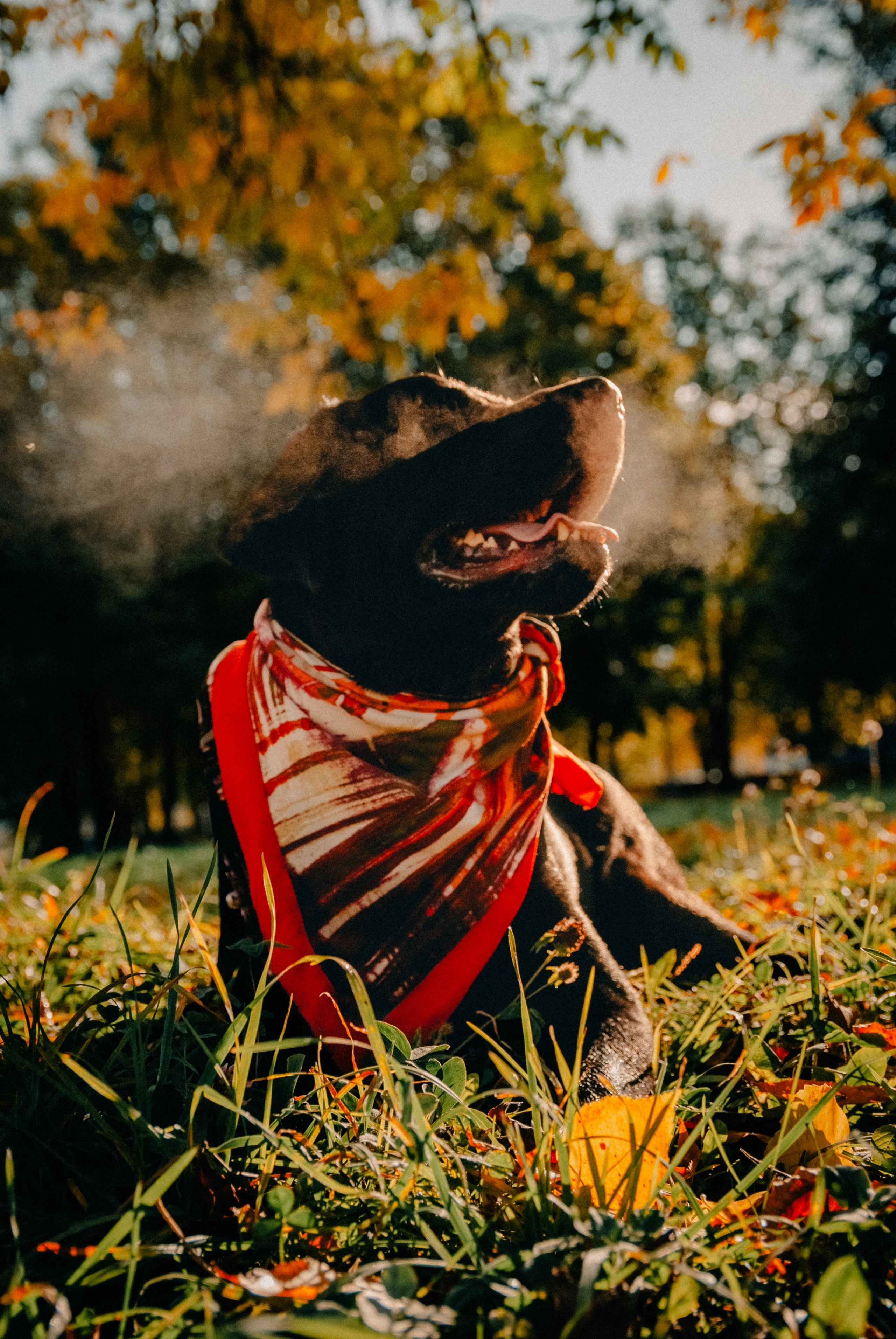 Зоопарк в моём багаже. Кошенкова Мария: портретный и репортажный фотограф. Санкт-Петербург