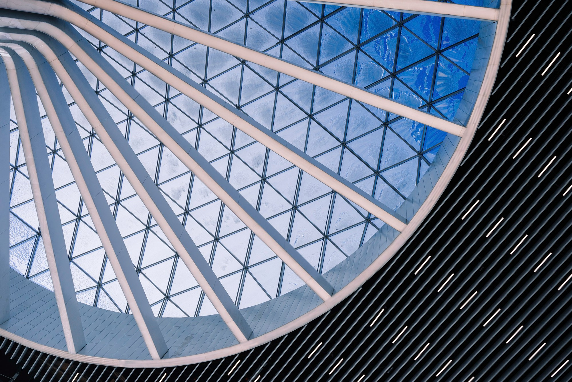 Открытие I Аэропорт Толмачево. Фотограф Новосибирск I Дамдинов Бато