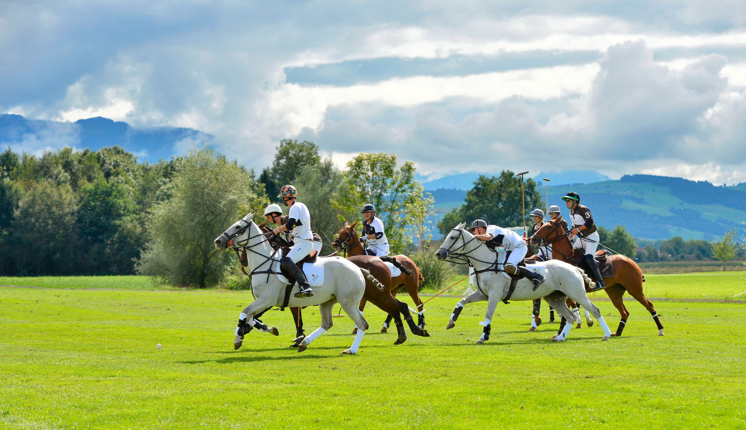 Polo art photos. Art photos of horses — ARTUR BABOEV | Photographer