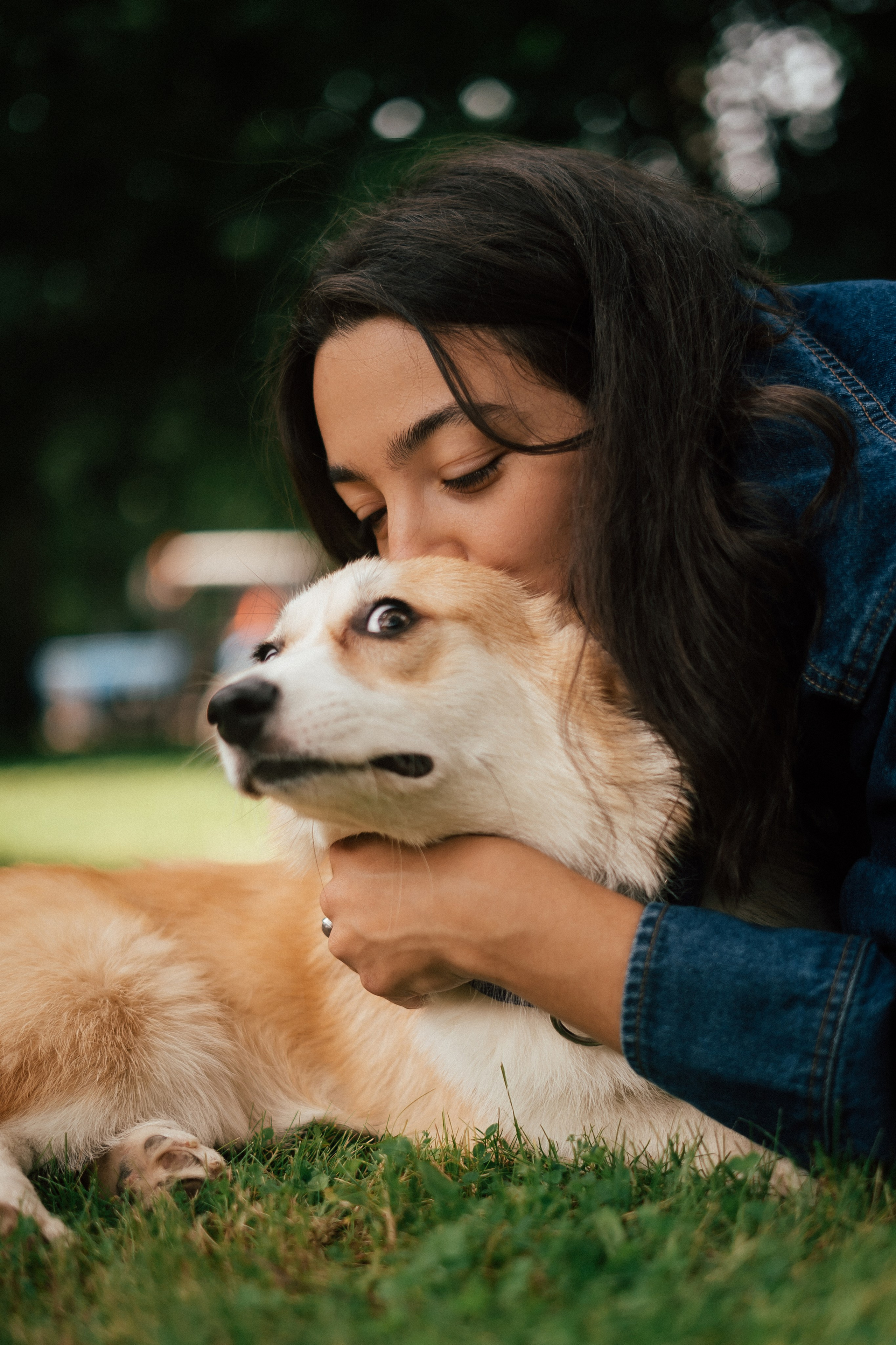 Фотосессия с собакой сахалин. Фотограф сахалин
