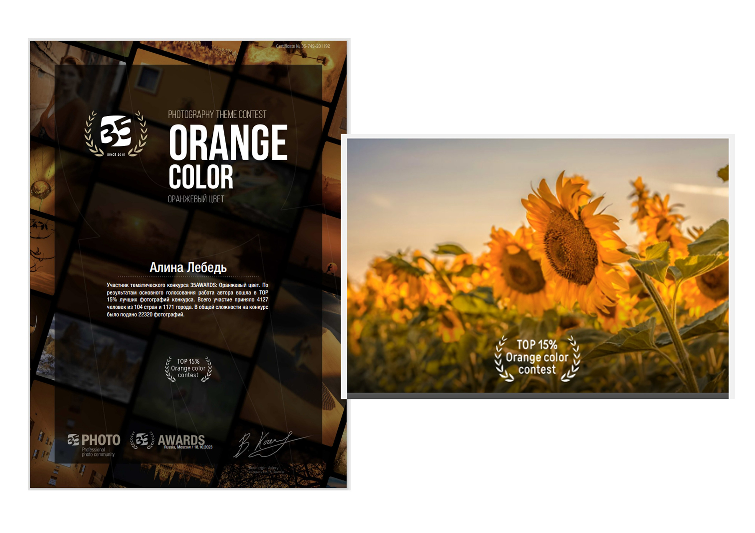 Международная премия фотографии 35awards. Фотограф Алина Лебедь